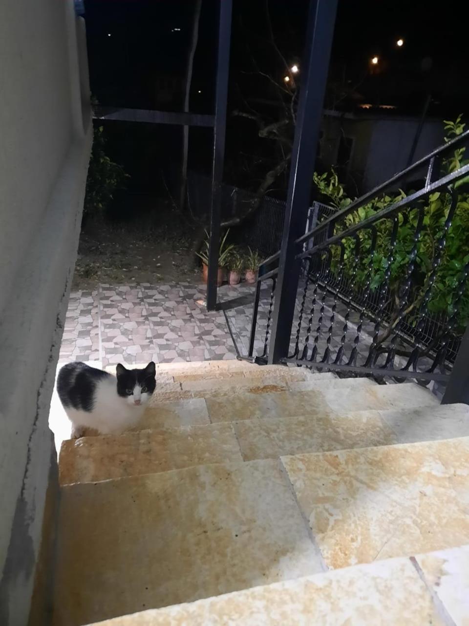 Guest House Marjo
