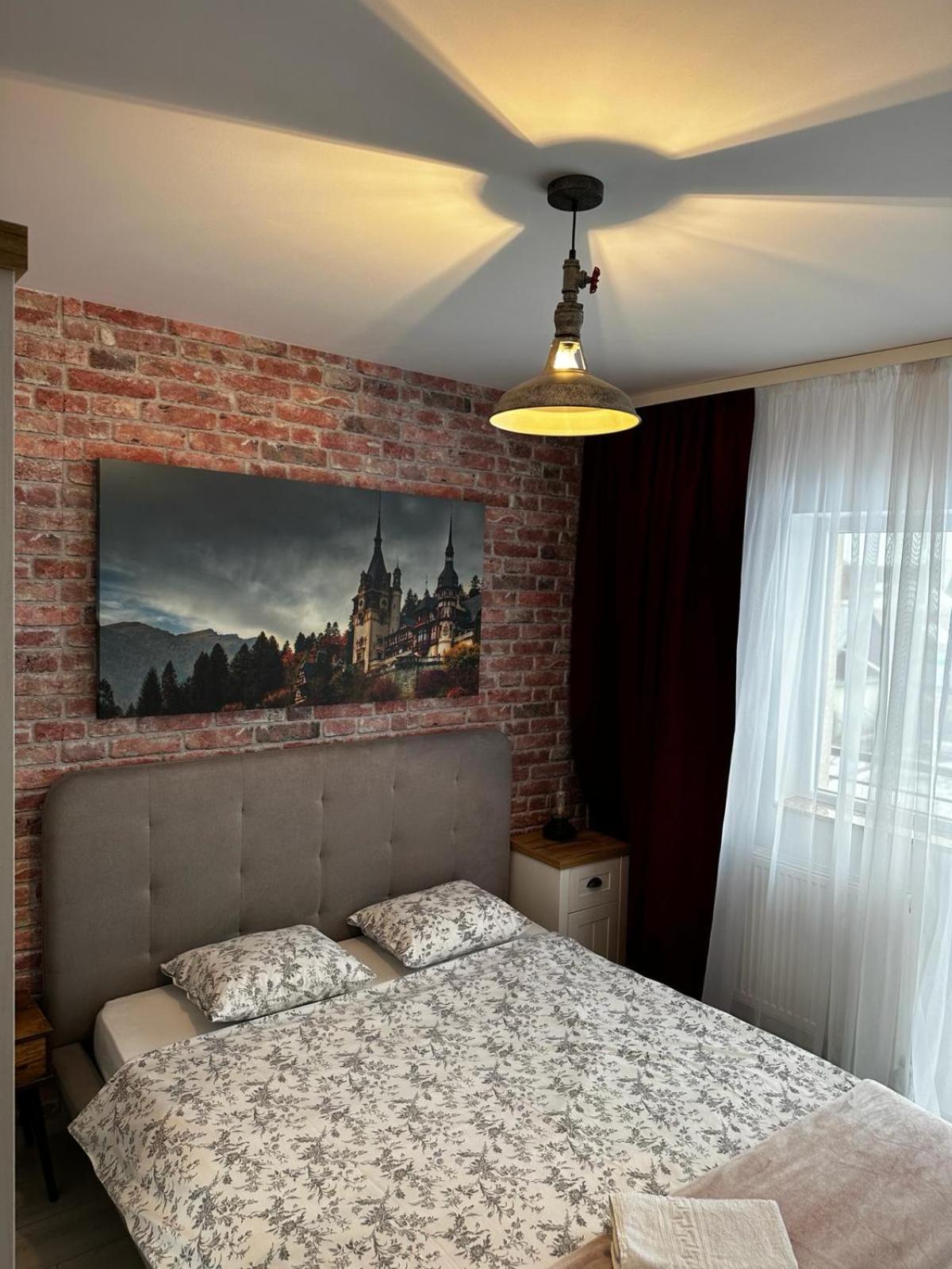 Best Apartment Suceava view 3