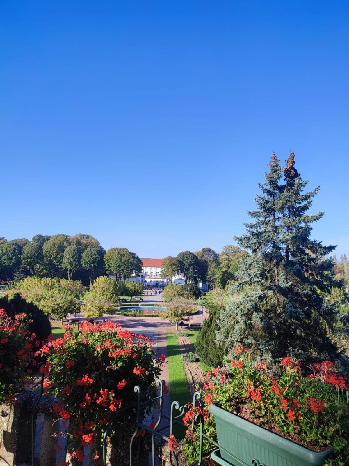 LadyDi apartman