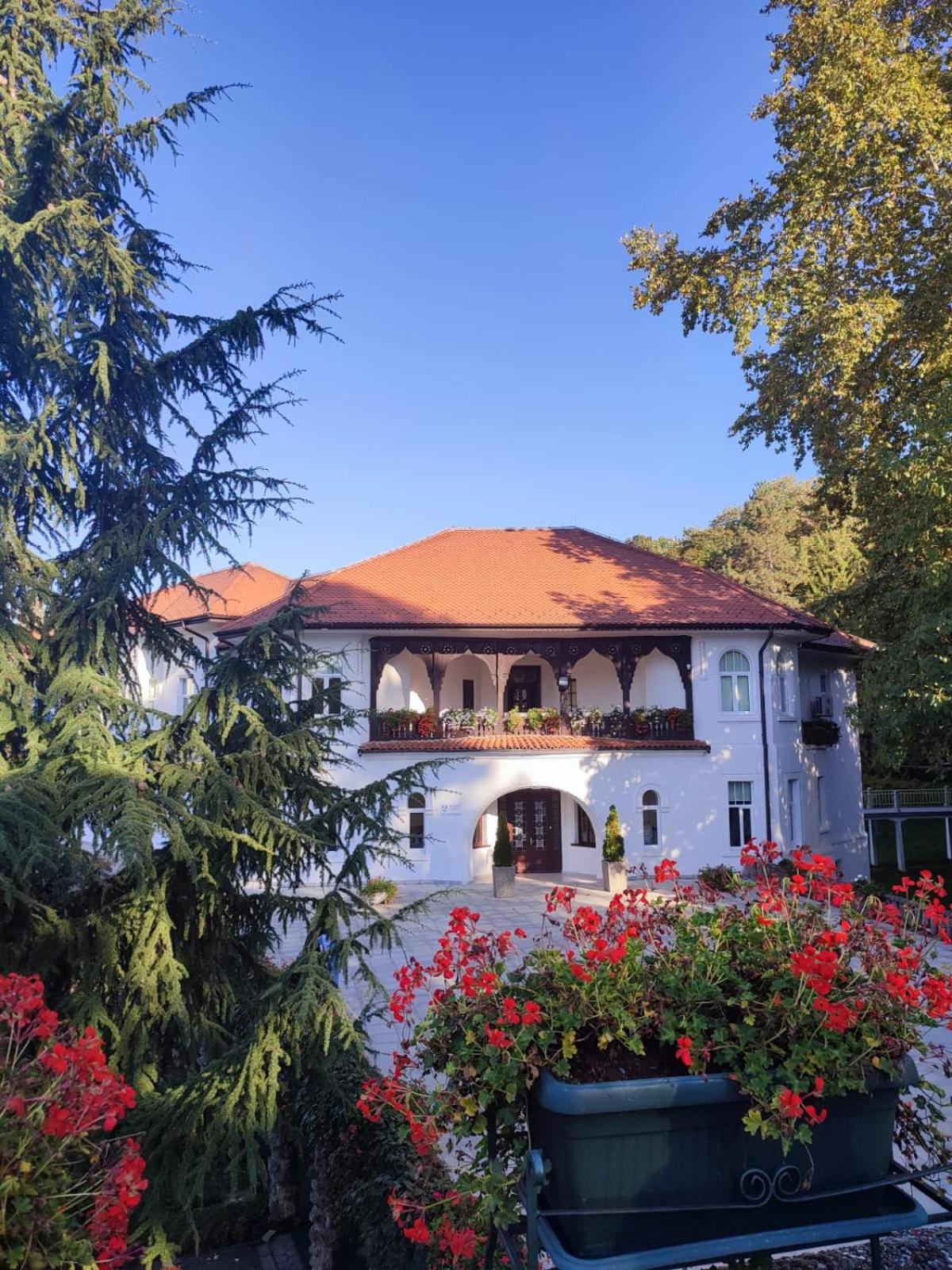 LadyDi apartman