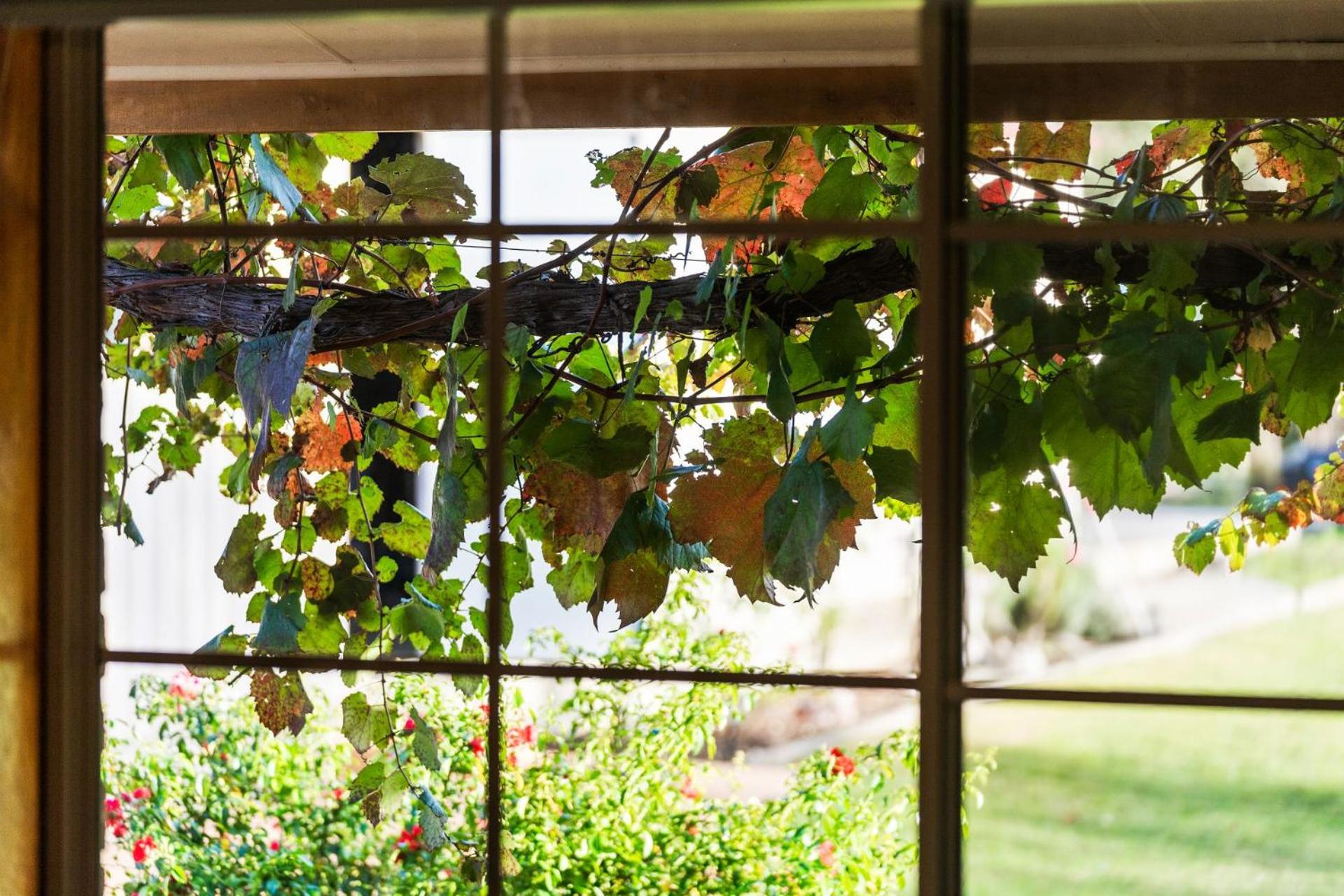 Heavenly Hideaway at Lovedale with Private Pool and Spa