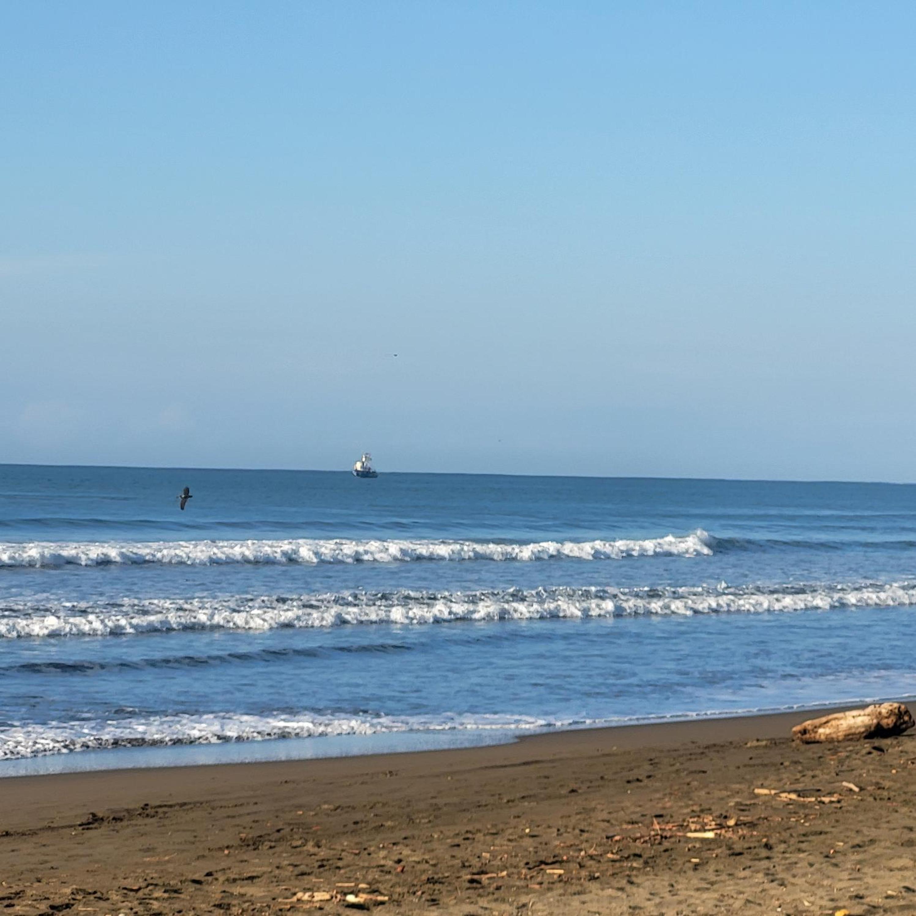 Villas Playa Palo Seco