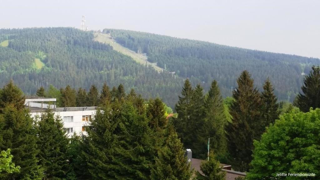App 507 Bocksbergblick im Ferienpark Hahnenklee Haus 1 view 5