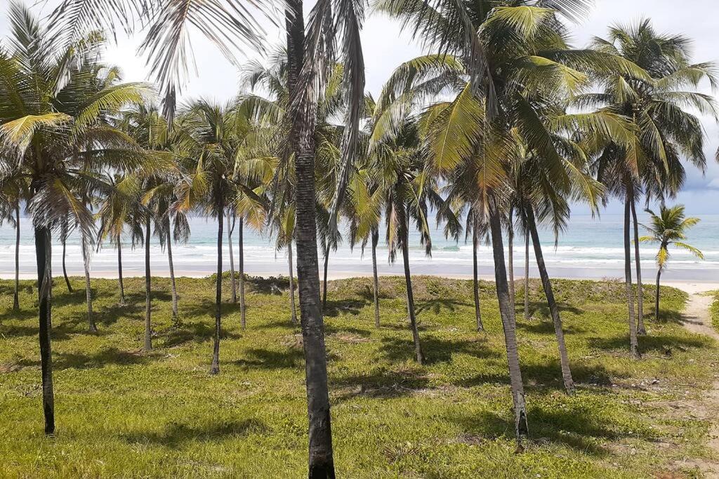Apartamento espaço inteiro em Maceió AL
