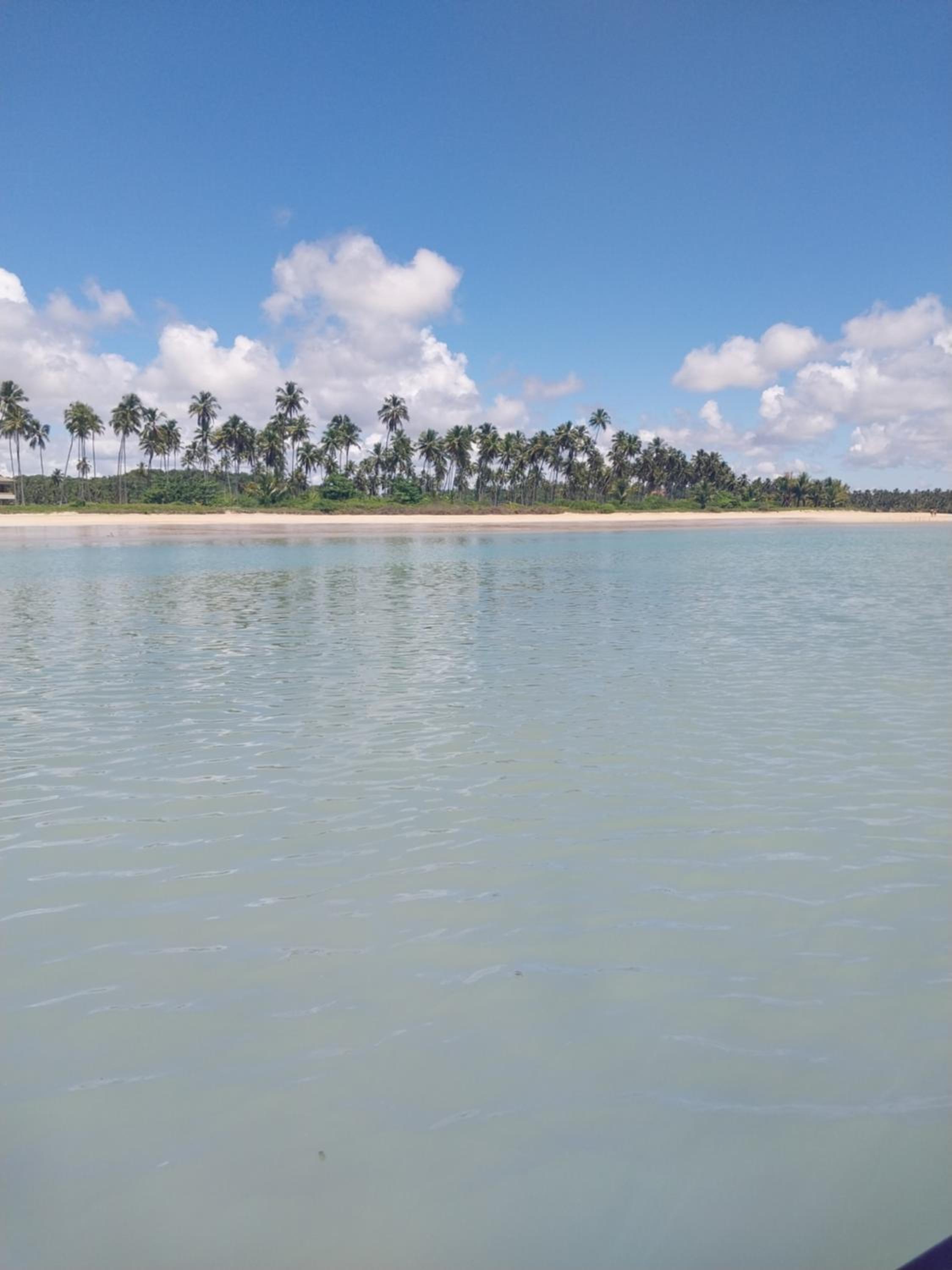 Apartamento espaço inteiro em Maceió AL