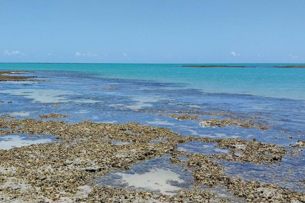 Apartamento espaço inteiro em Maceió AL