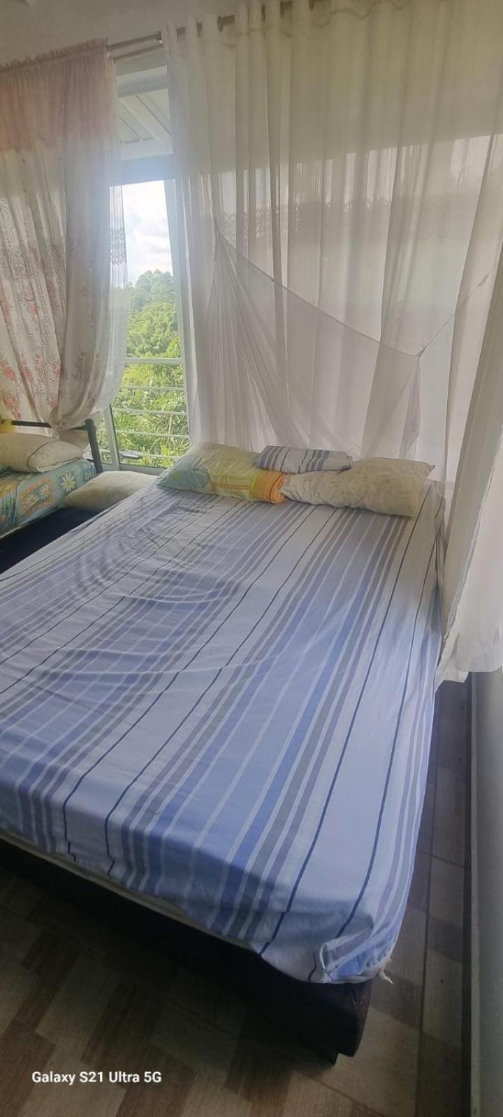 Finca las marias
