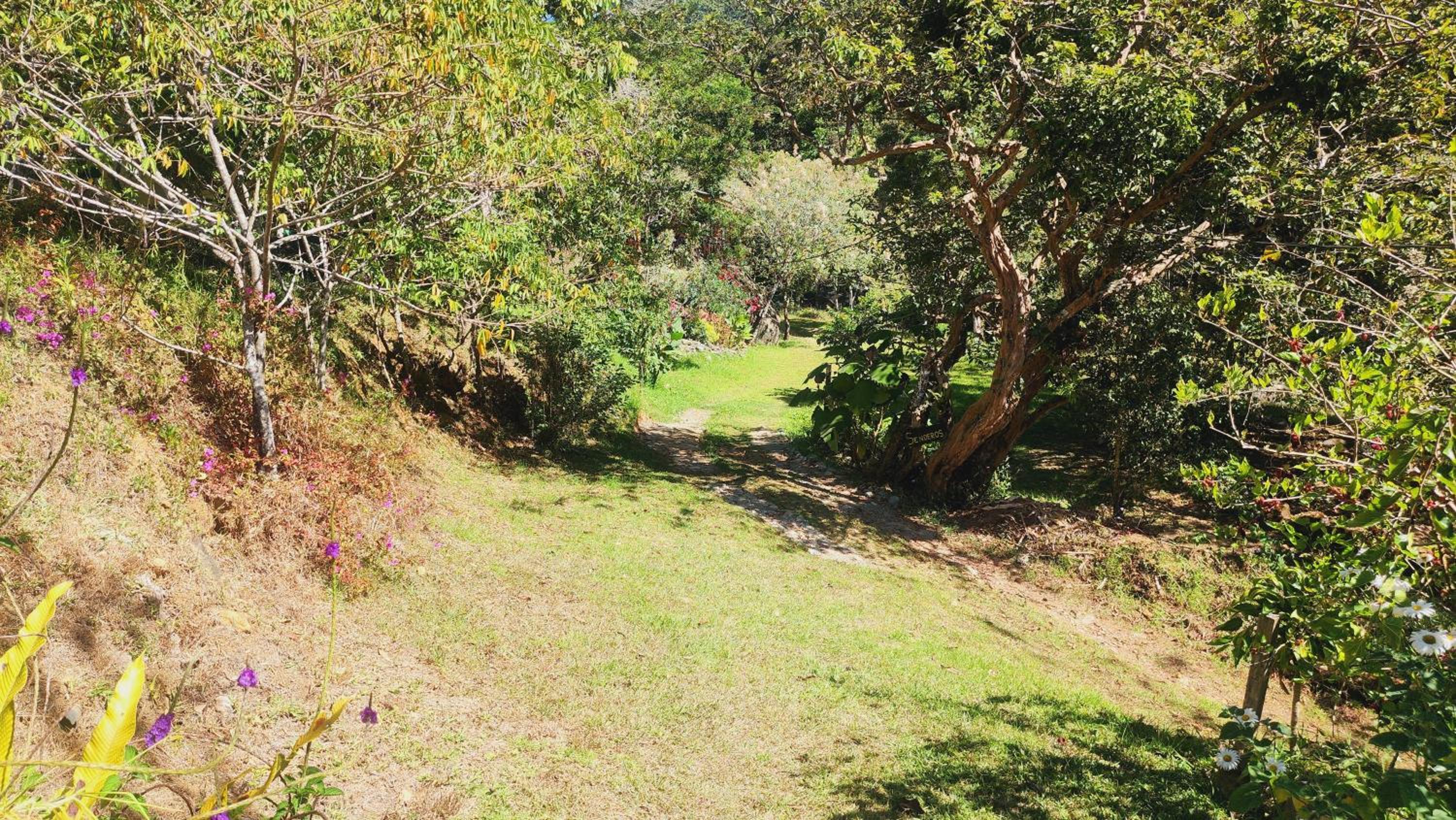 Hospedajes Richie Eco Camp