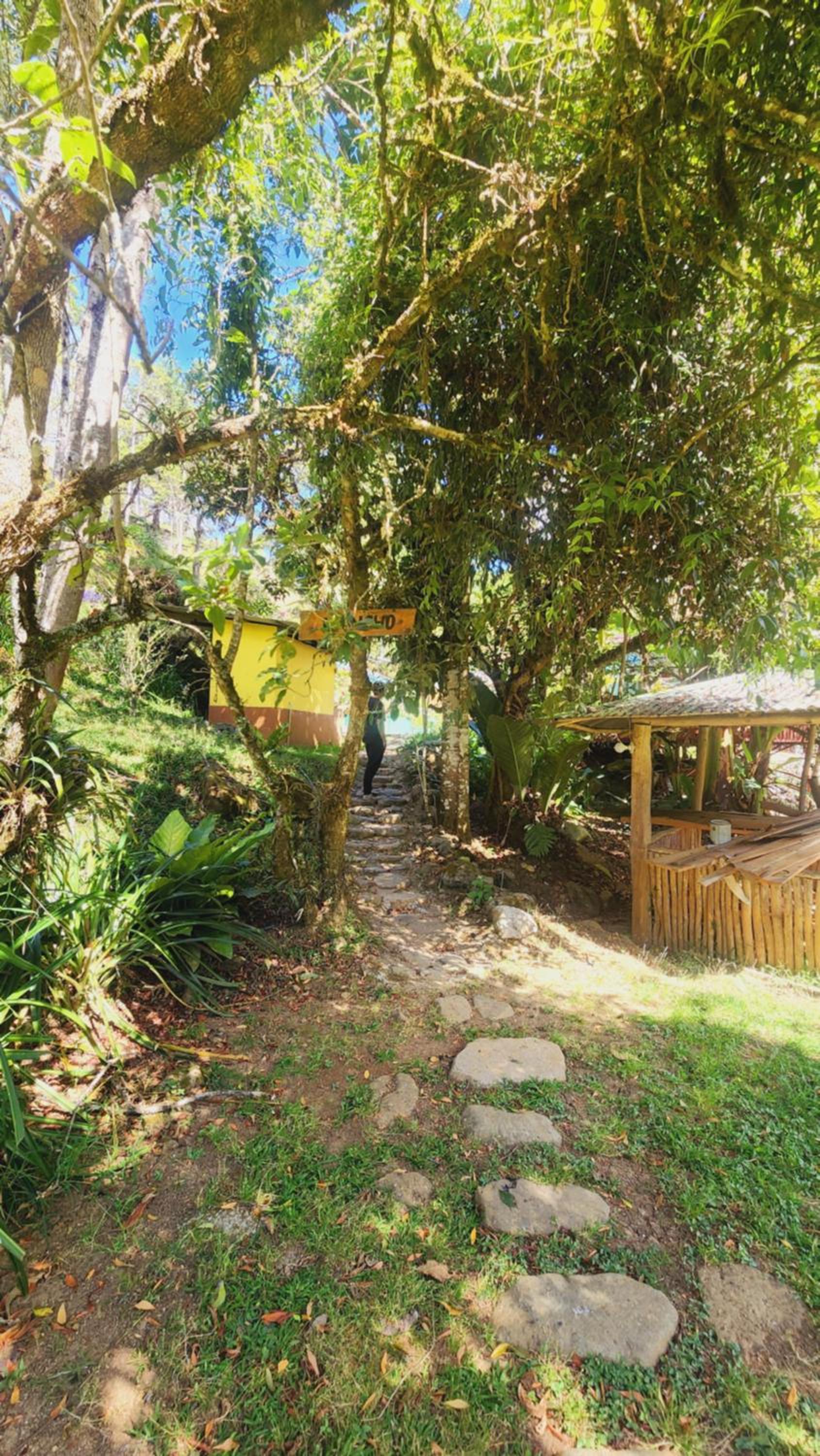 Hospedajes Richie Eco Camp