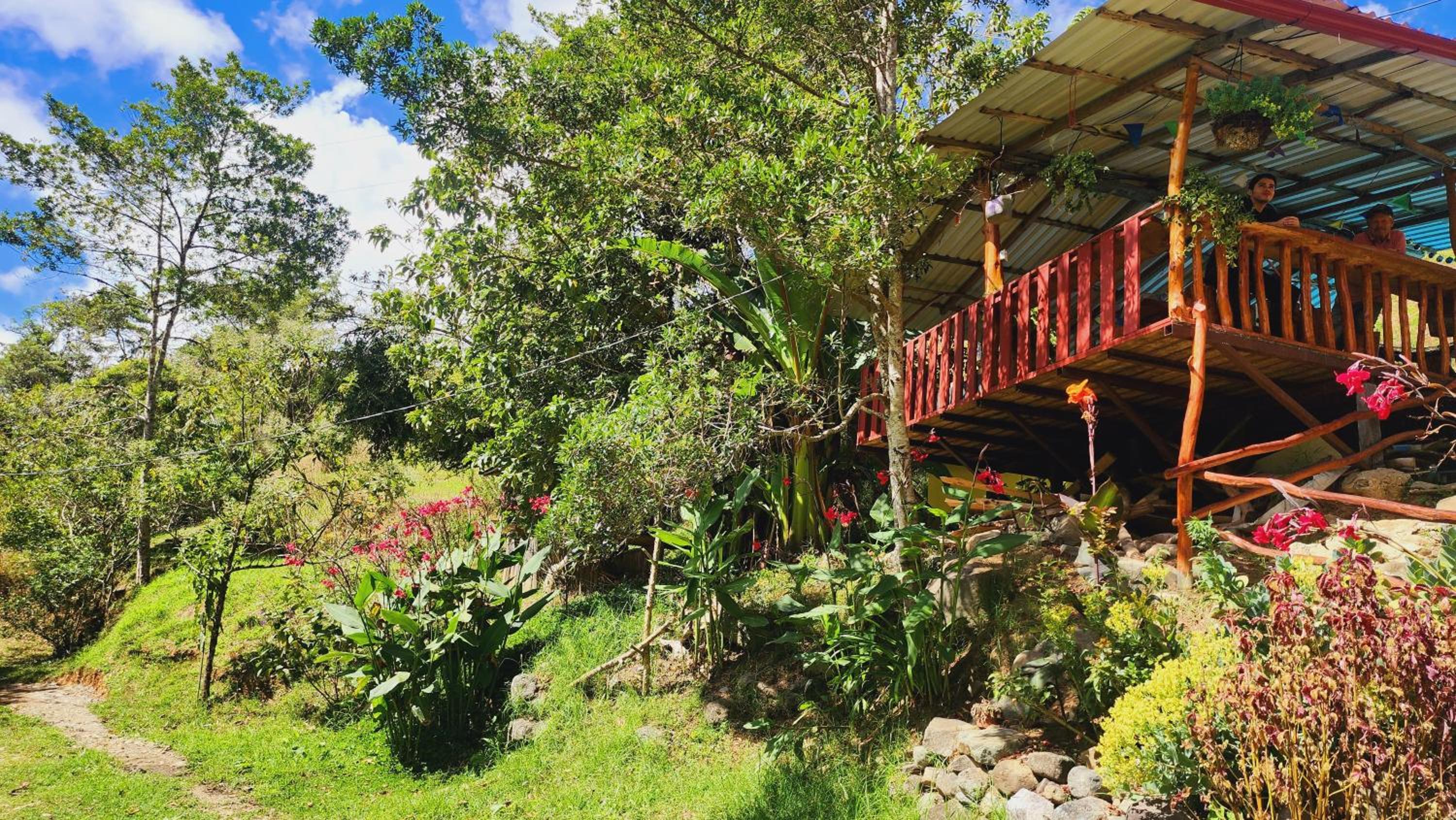 Hospedajes Richie Eco Camp
