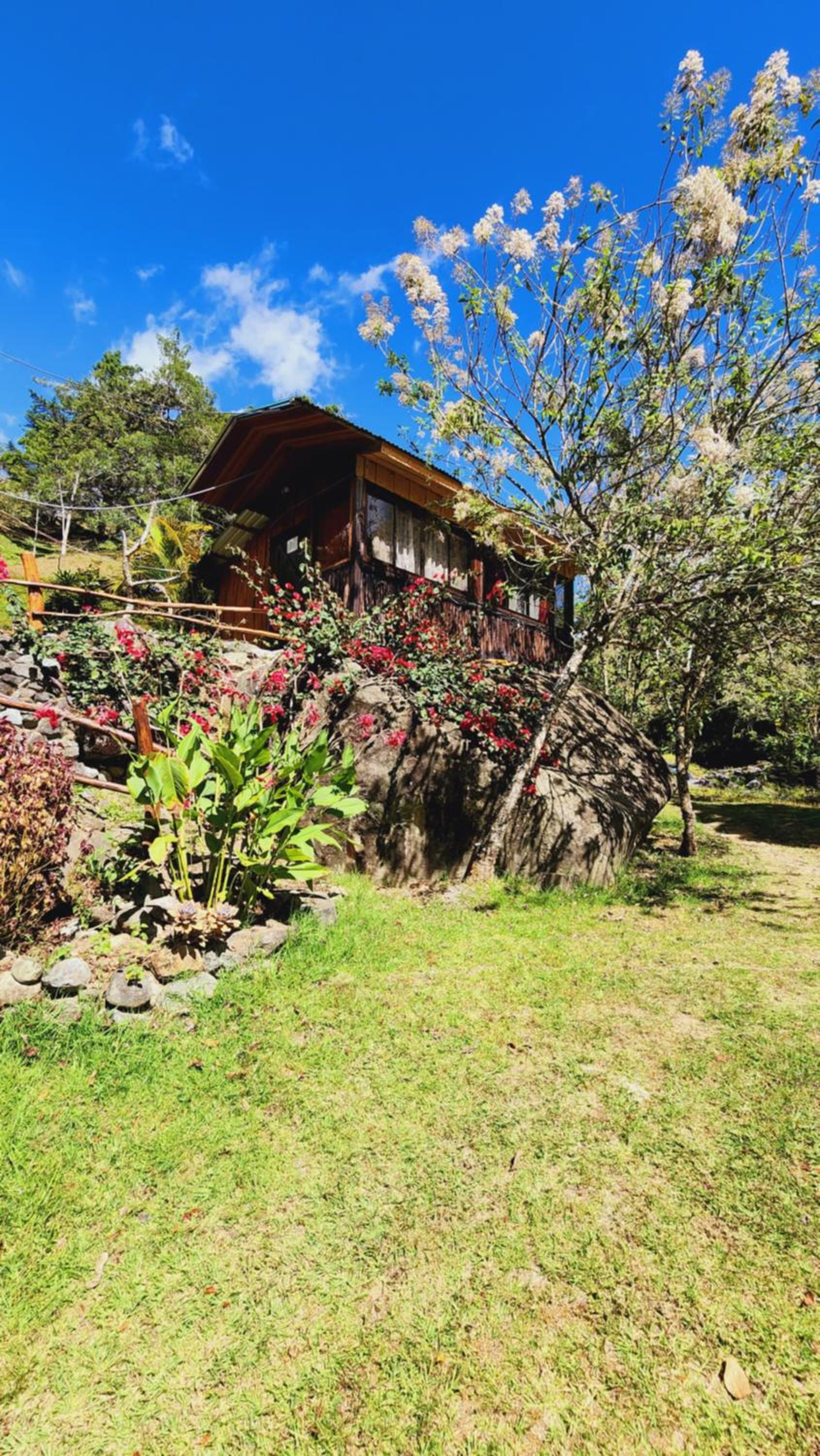 Hospedajes Richie Eco Camp