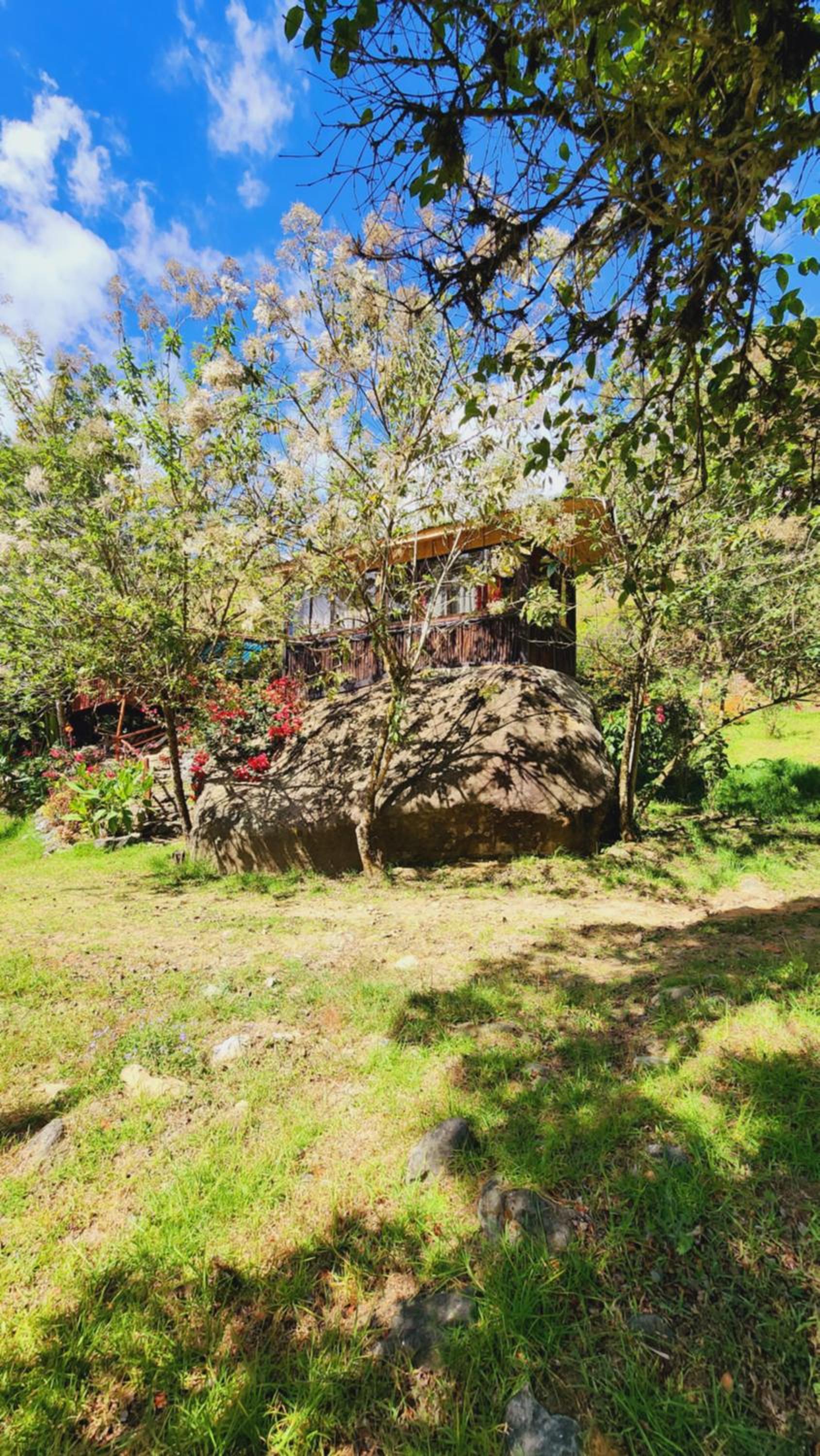 Hospedajes Richie Eco Camp