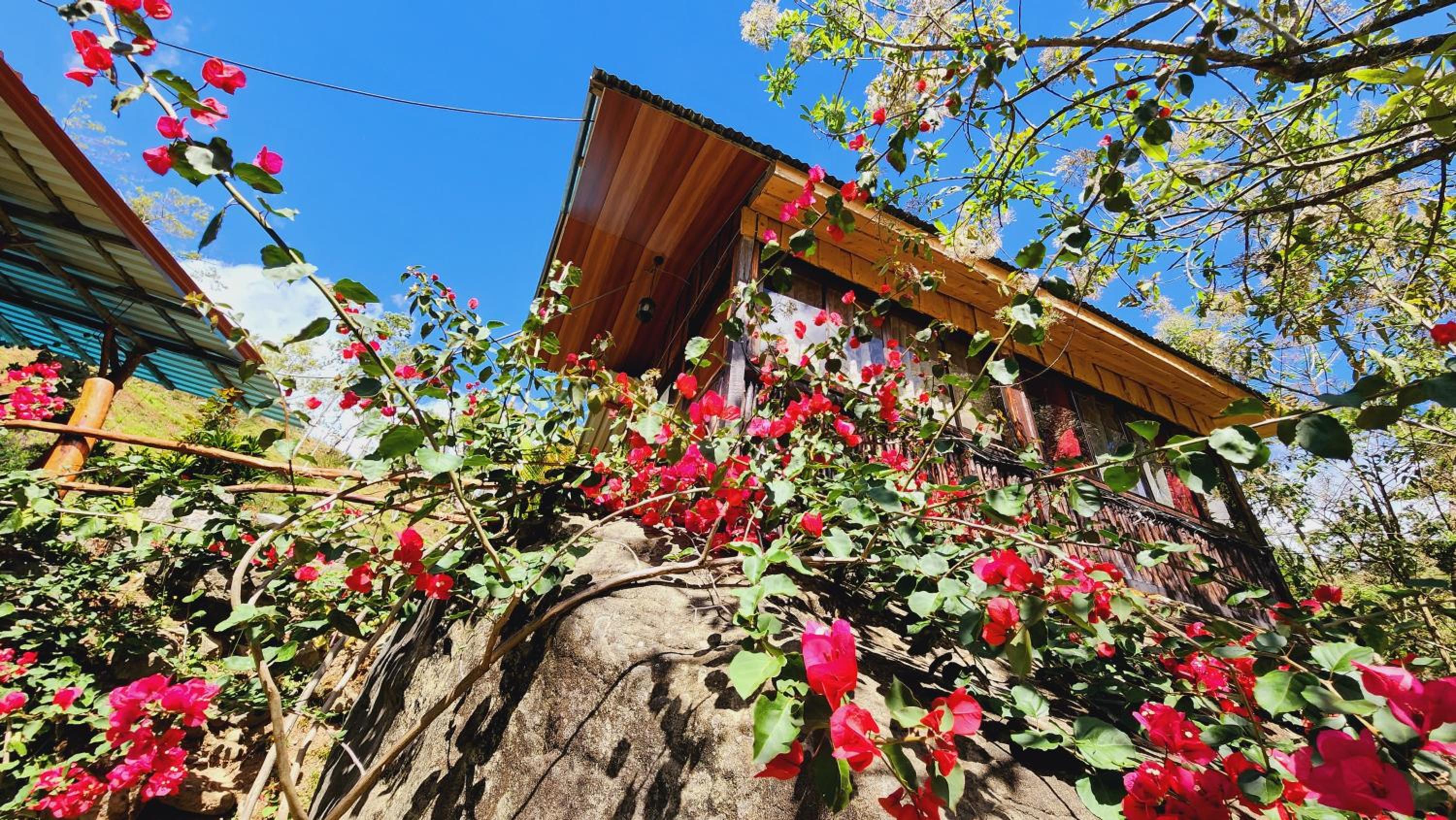 Hospedajes Richie Eco Camp