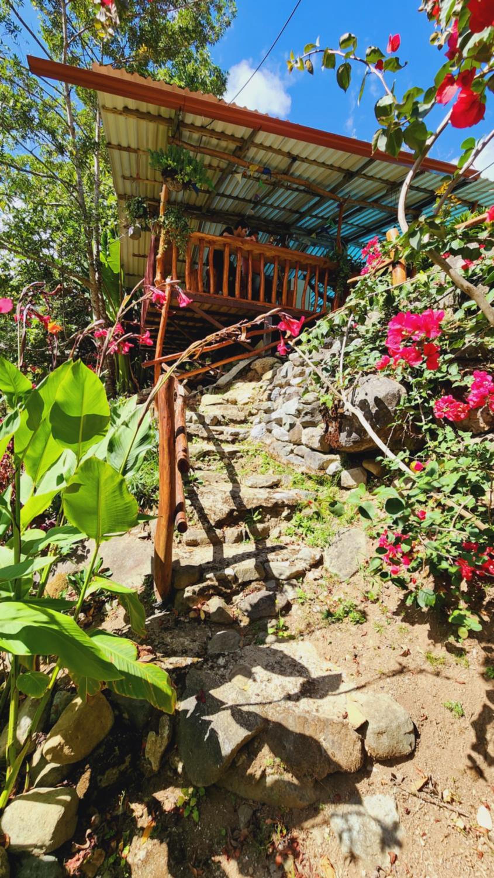 Hospedajes Richie Eco Camp