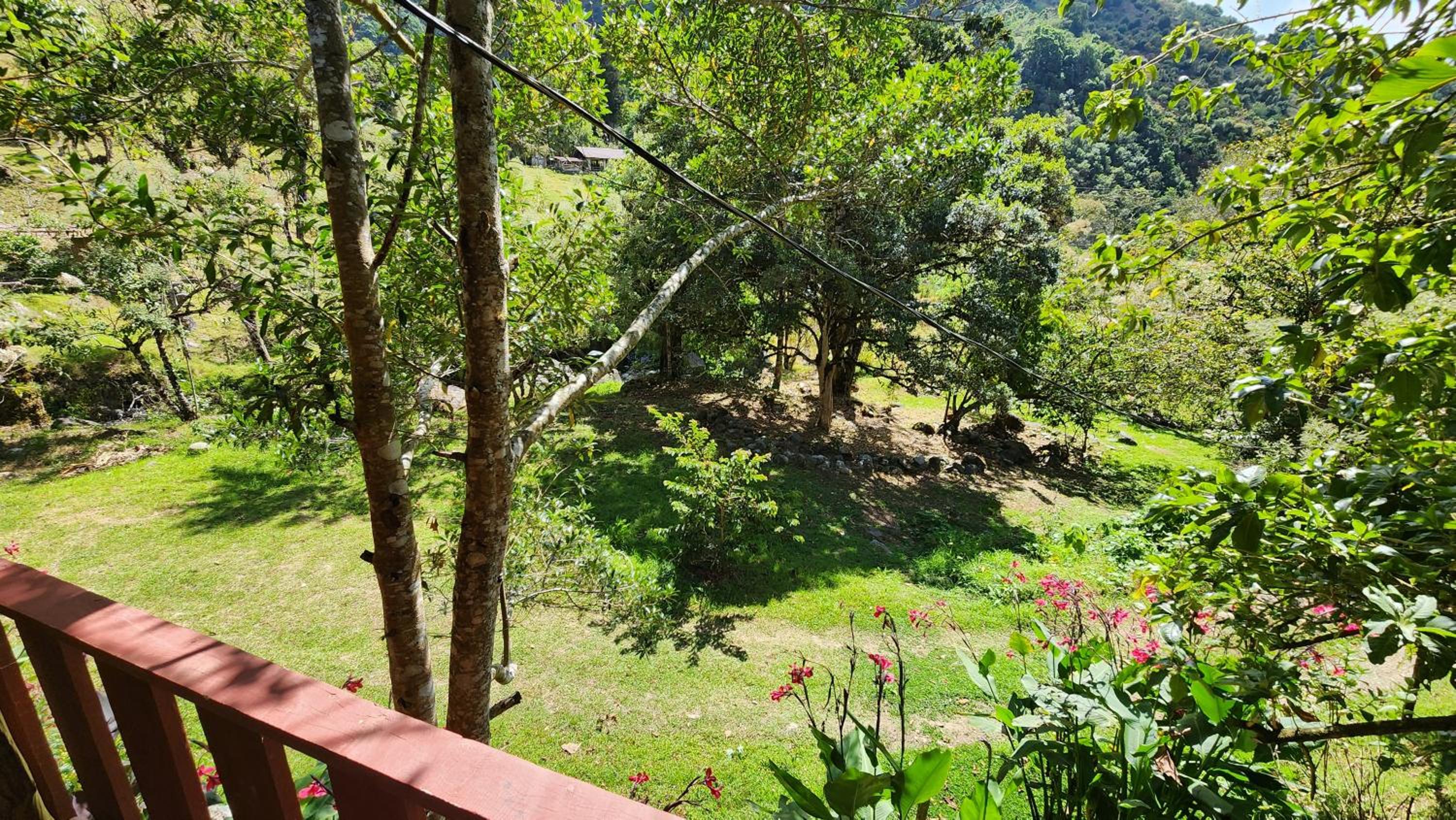 Hospedajes Richie Eco Camp