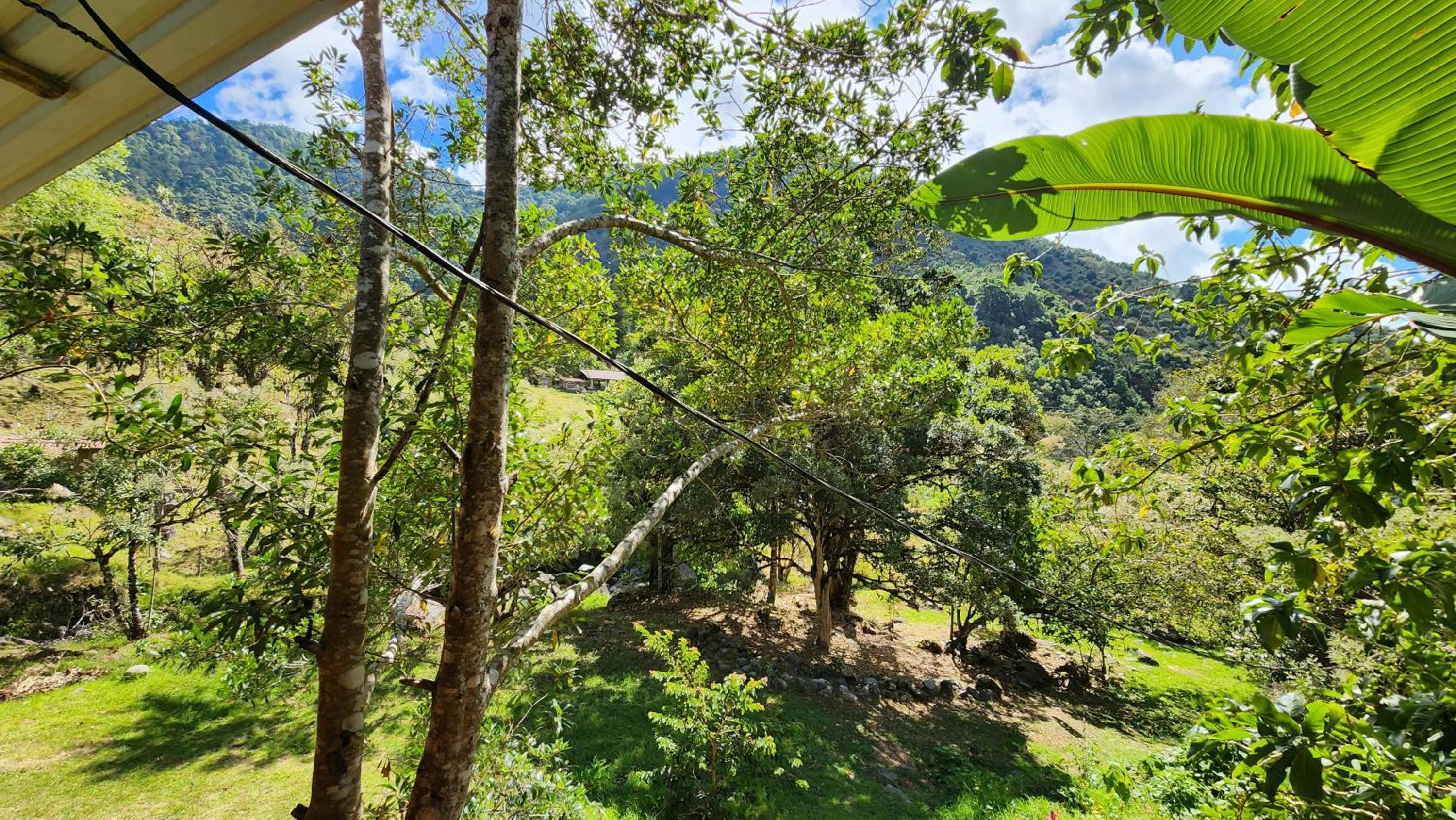 Hospedajes Richie Eco Camp