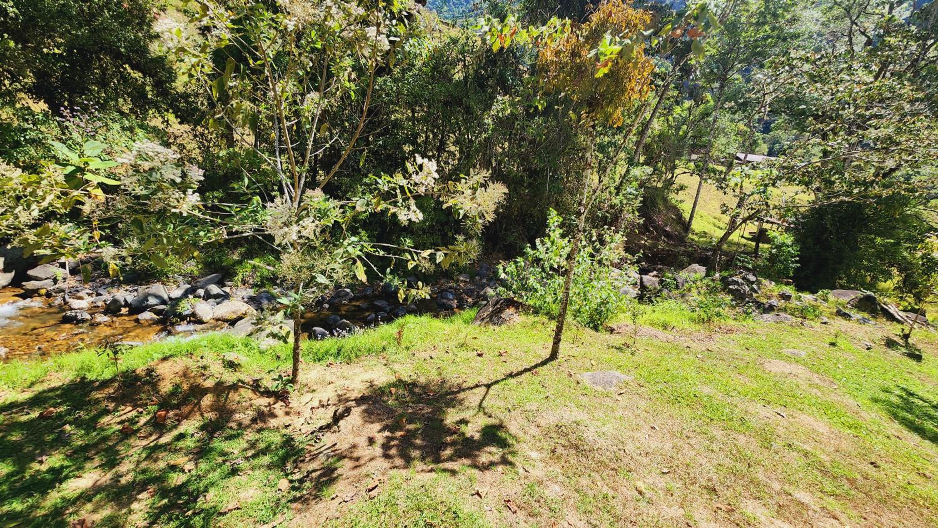 Hospedajes Richie Eco Camp