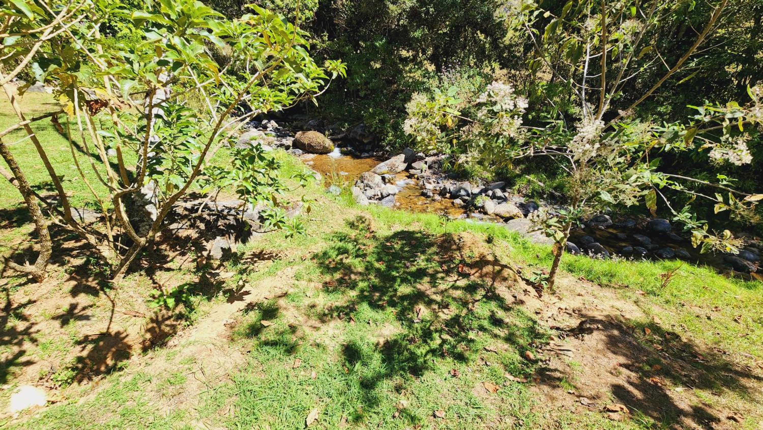 Hospedajes Richie Eco Camp