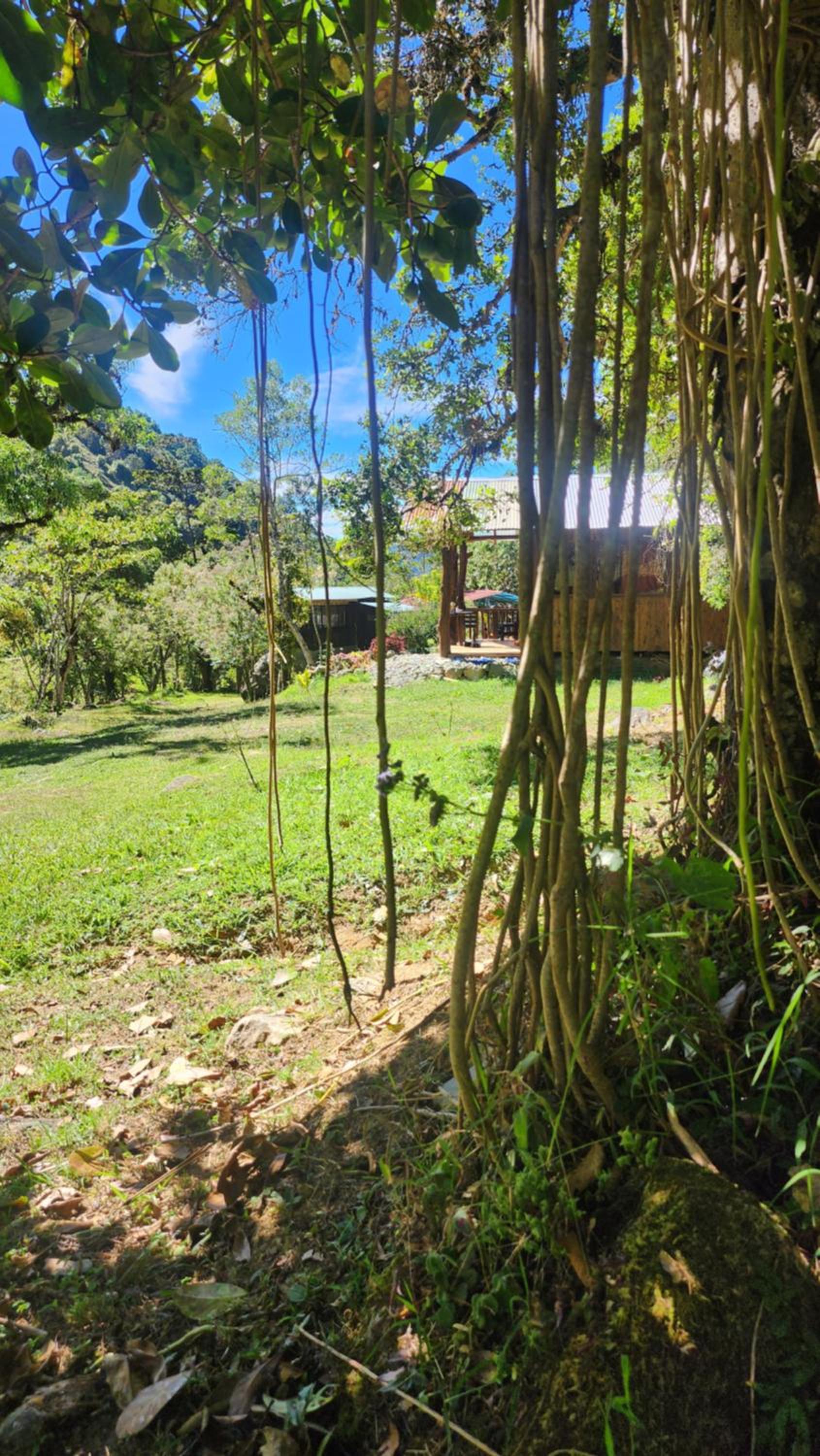 Hospedajes Richie Eco Camp