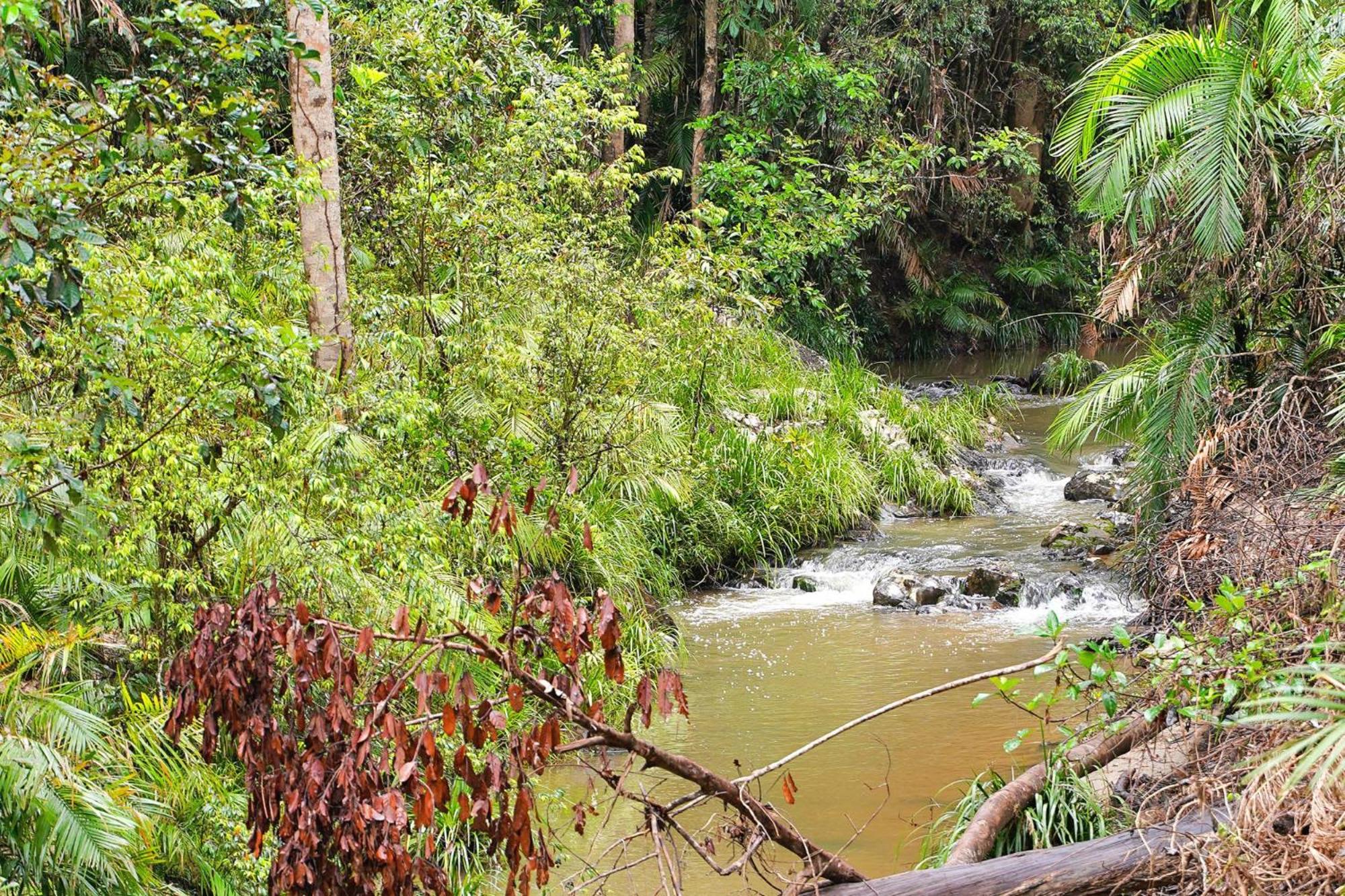 Kuranda Rainforest Chalet