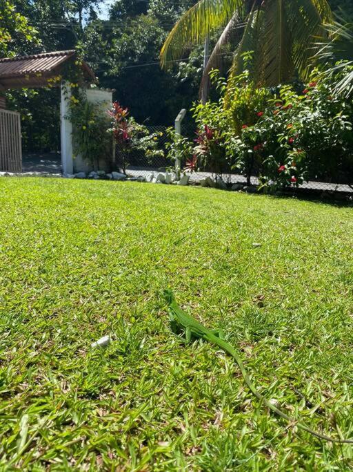 Hermosa Finca en Doradal