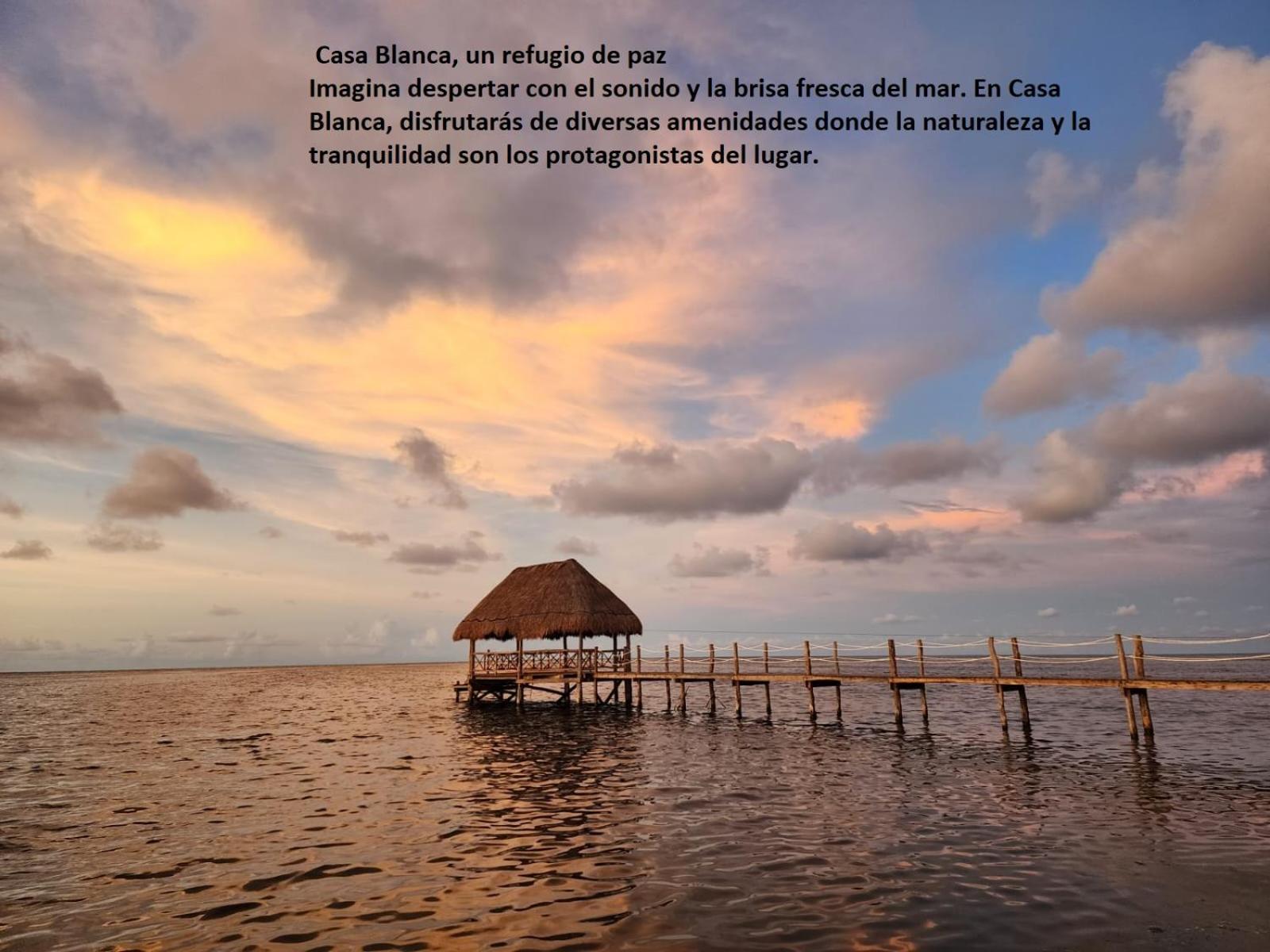 Photo 50