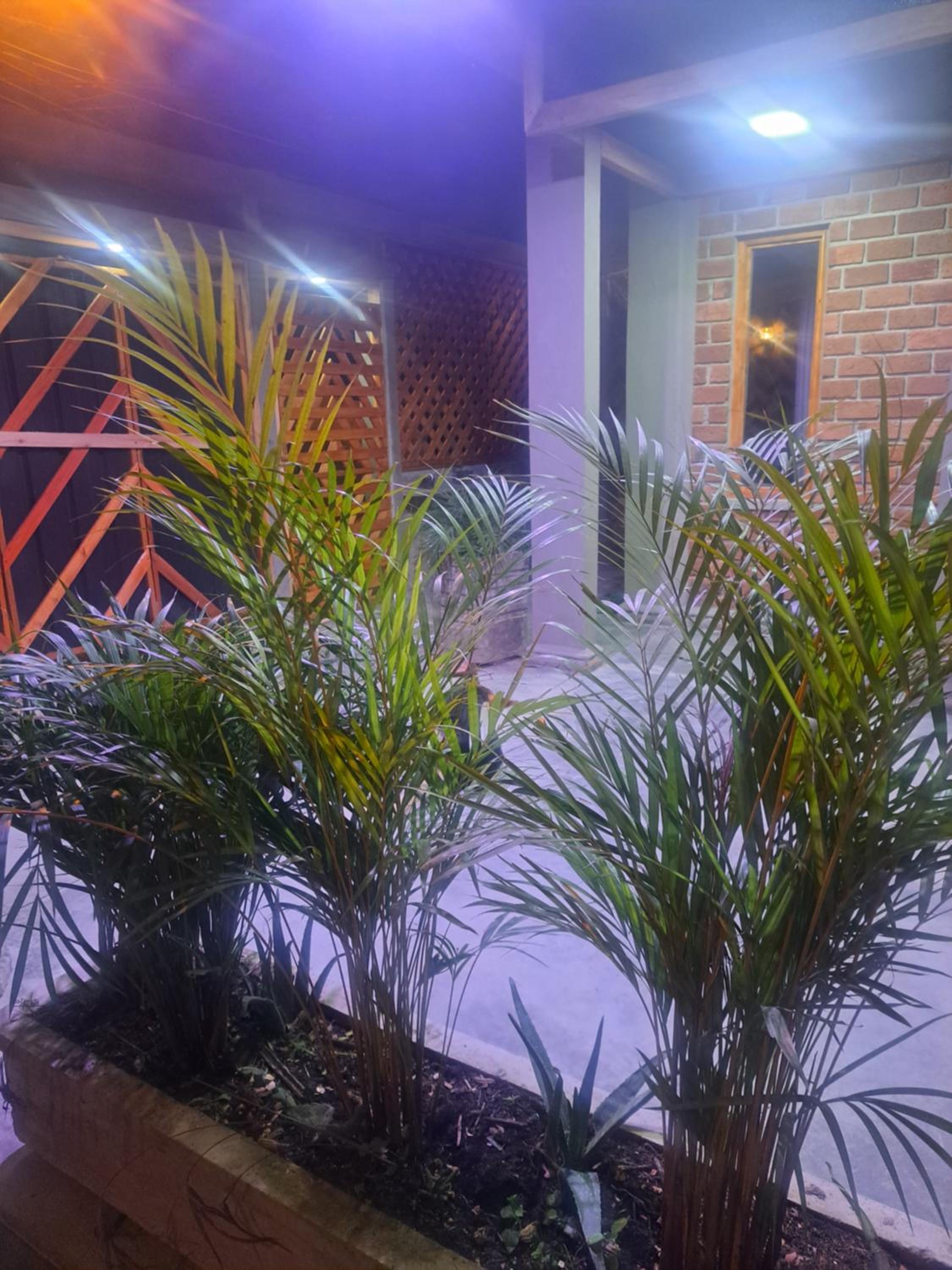 hostal la parada colon - putumayo