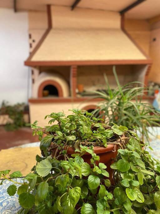 Casa Tupungato con Churrasquera