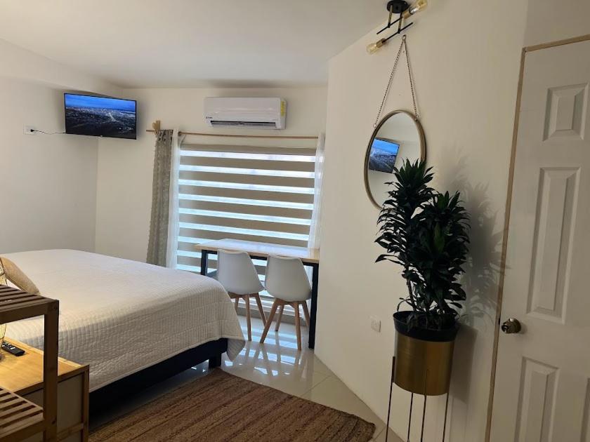 Suite Aloha