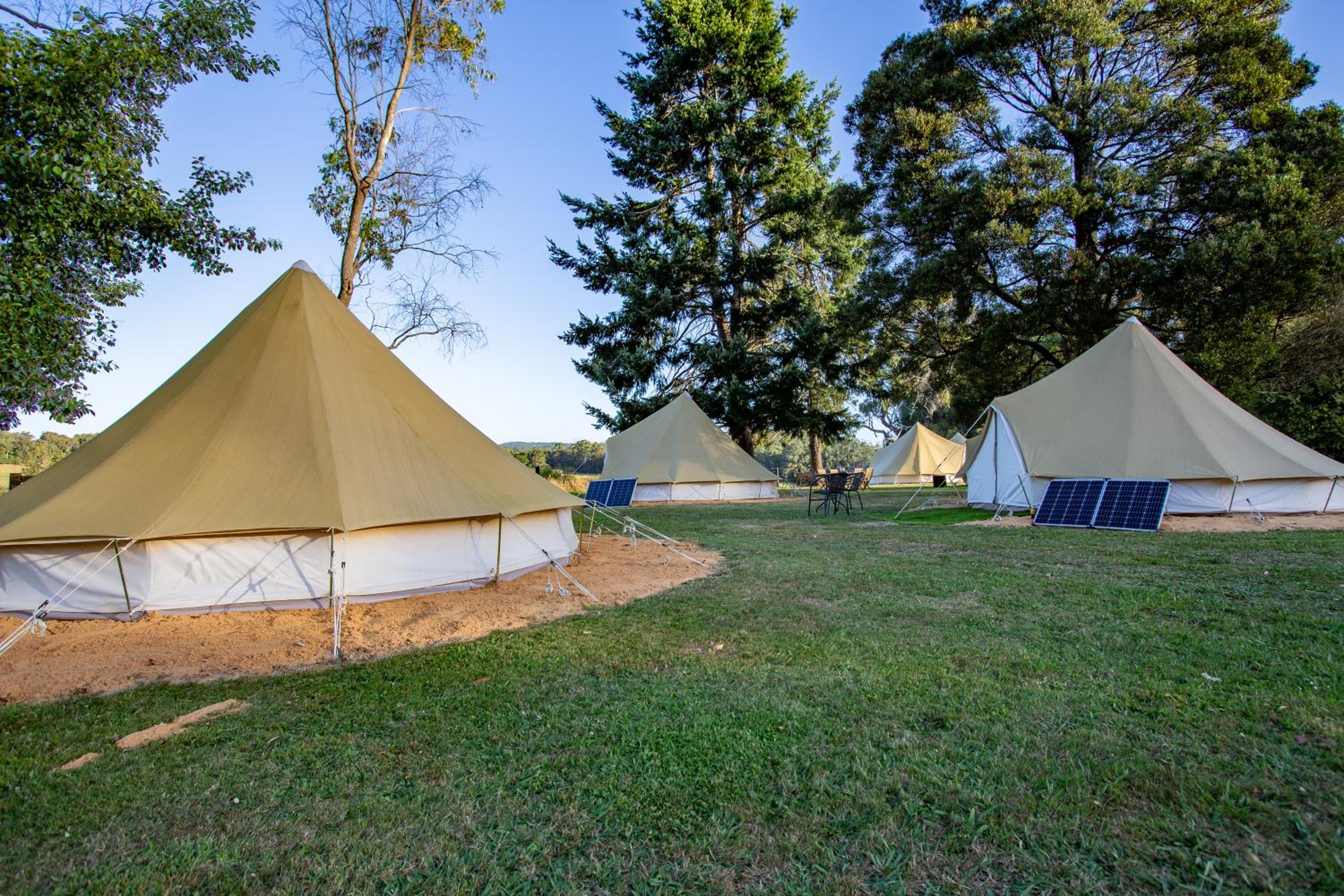 Forrest Holiday Park