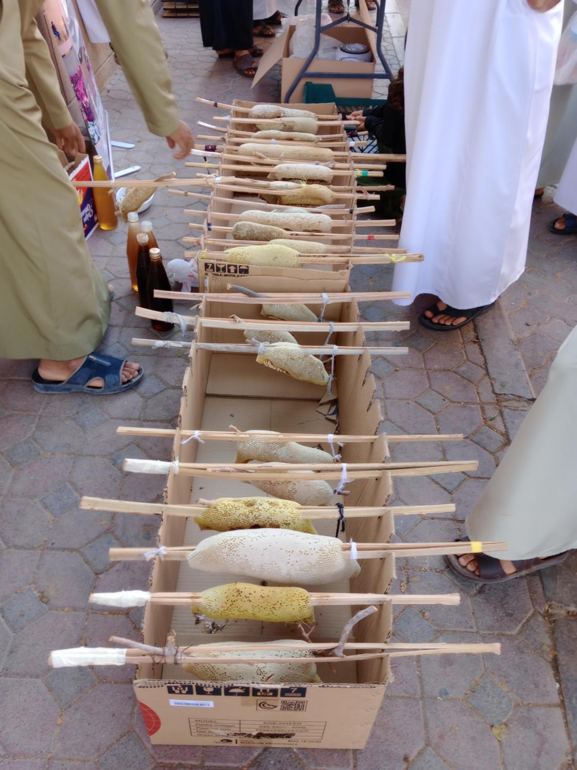 Dar Alslam hostel, photo 15