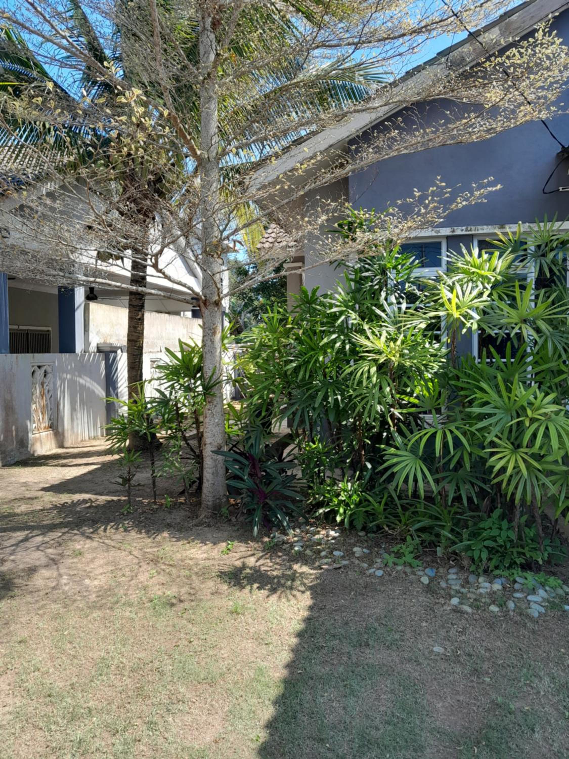 Homestay Pantai