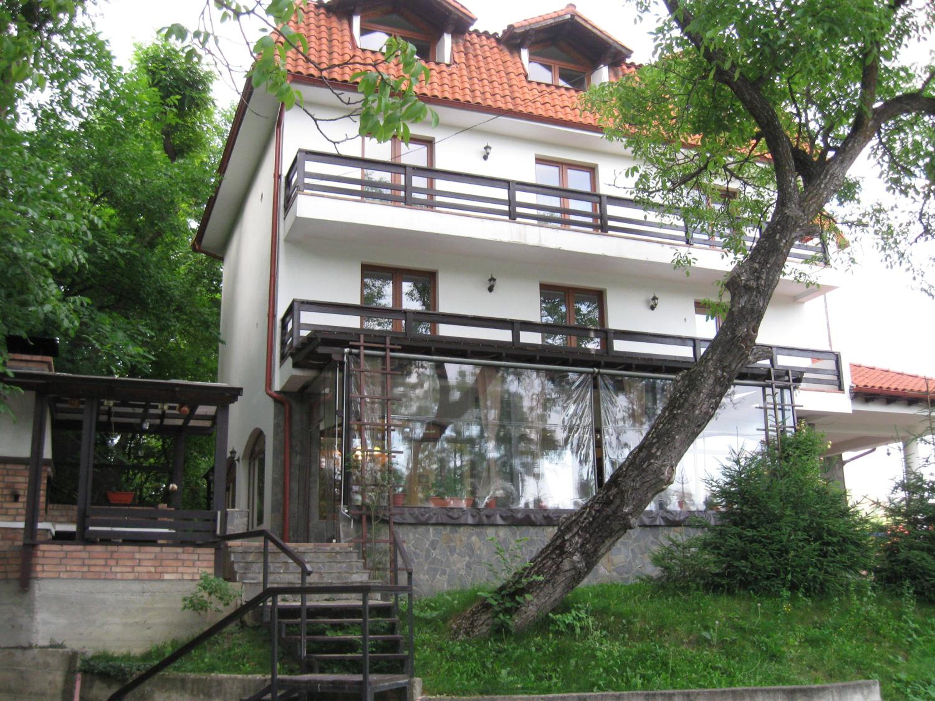 Photo 24