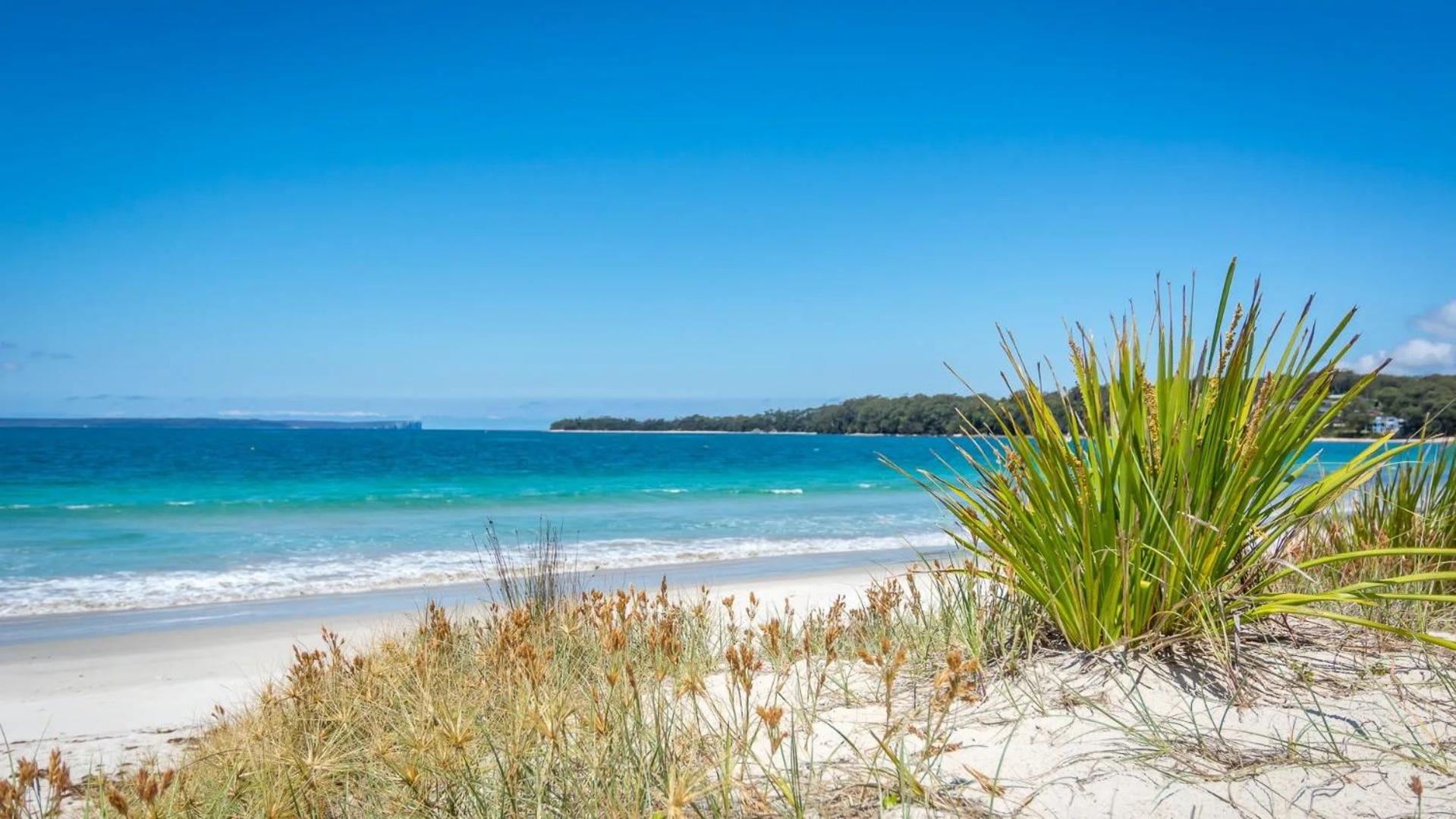 Beachfront- The Art Cottage- Pet Friendly