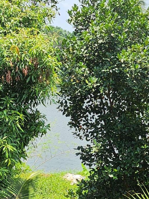 Elegant River Front Villa Near Airport Kochi.