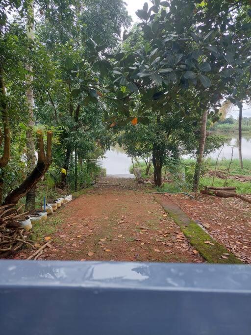 Elegant River Front Villa Near Airport Kochi.
