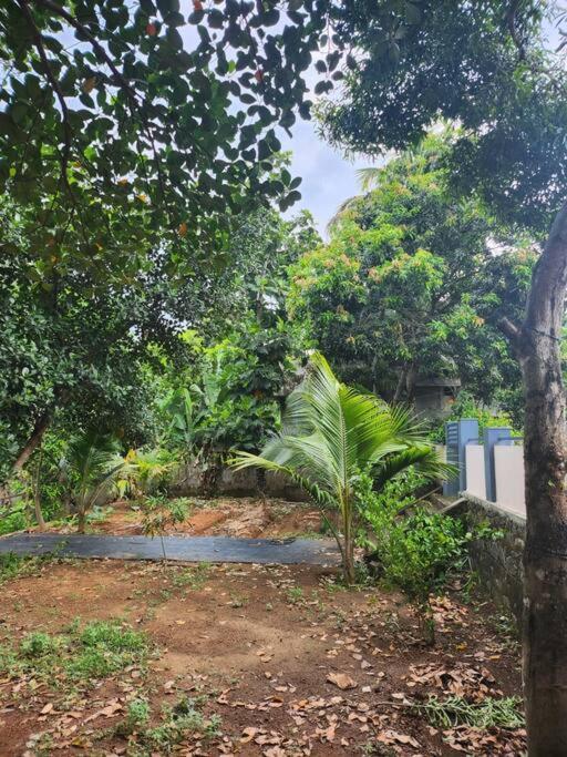 Elegant River Front Villa Near Airport Kochi.