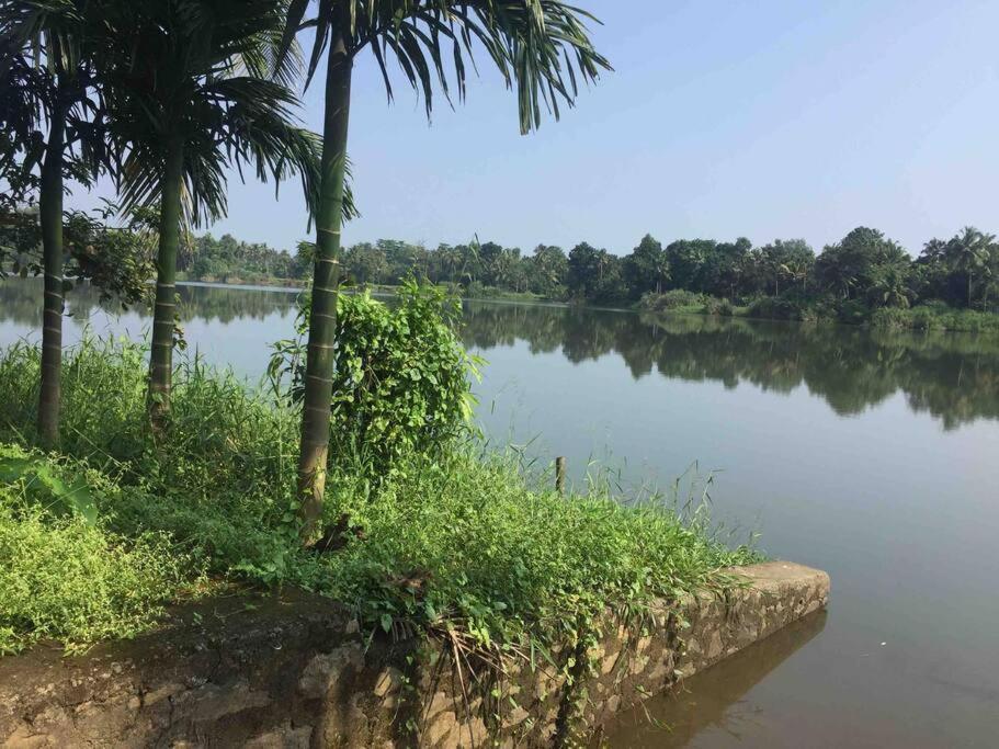 Elegant River Front Villa Near Airport Kochi.