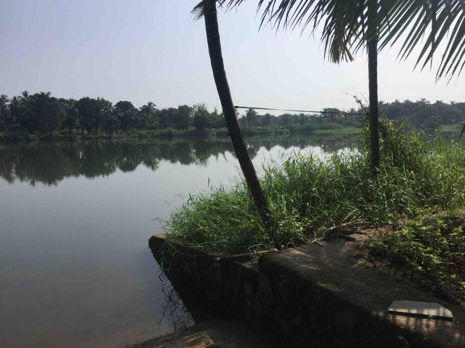Elegant River Front Villa Near Airport Kochi.