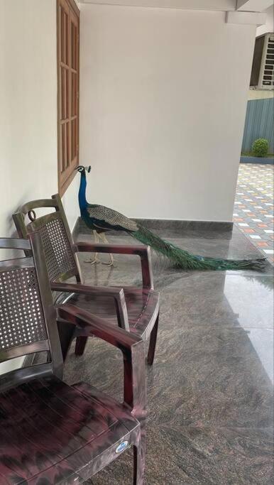 Elegant River Front Villa Near Airport Kochi.