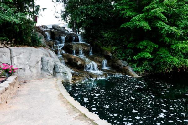Photo 43