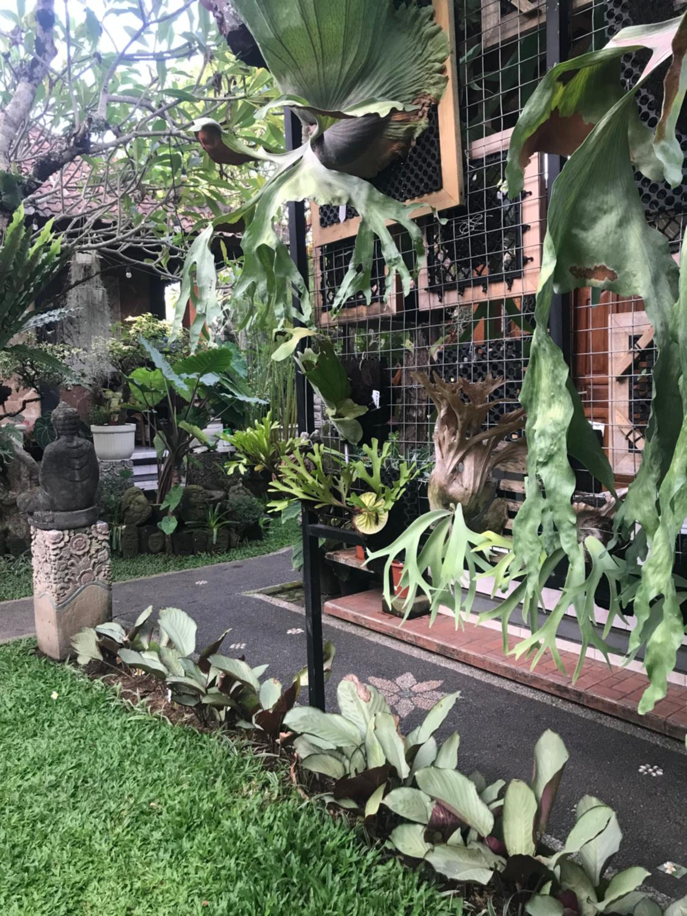 GUS ARDITYA HOMESTAY