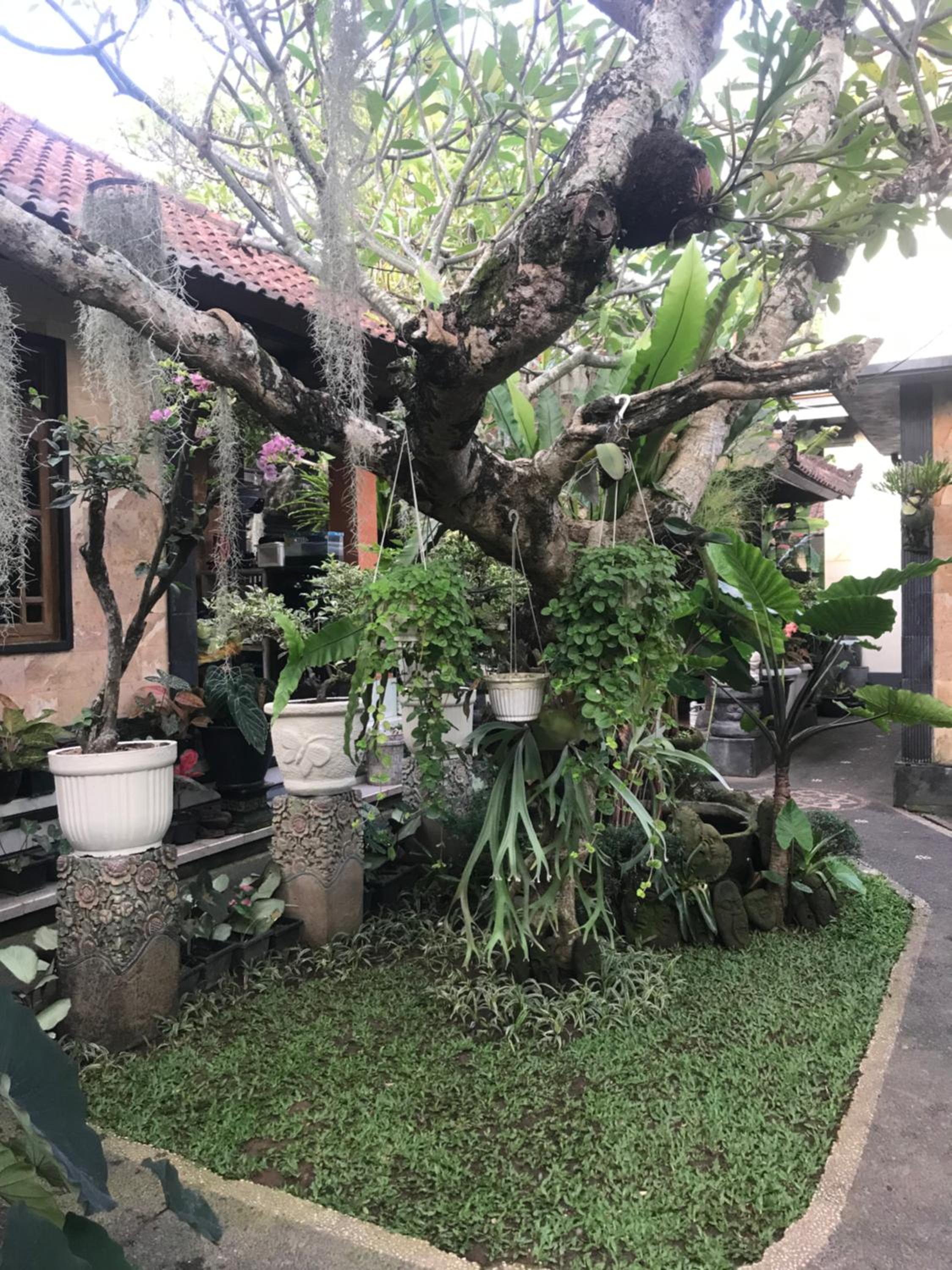 GUS ARDITYA HOMESTAY