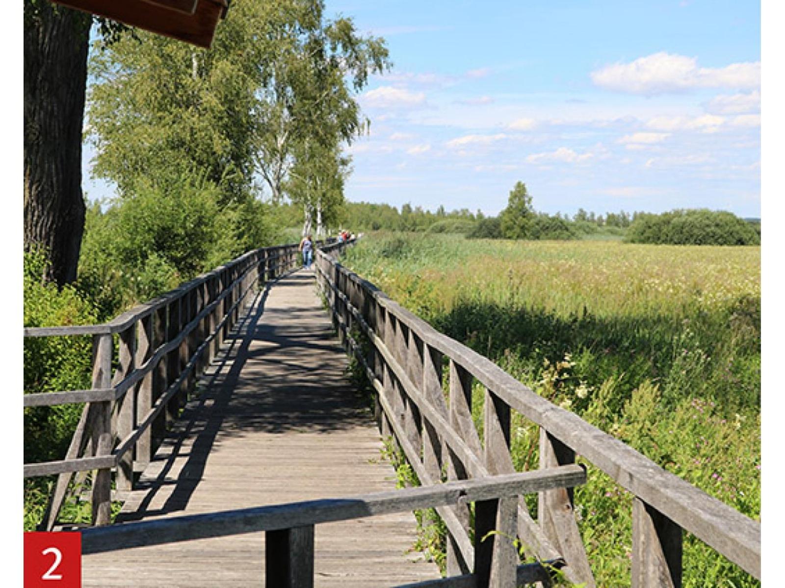 Schöne, große Ferienwohnung direkt am Donauradweg & Keltenstadt Heuneburg