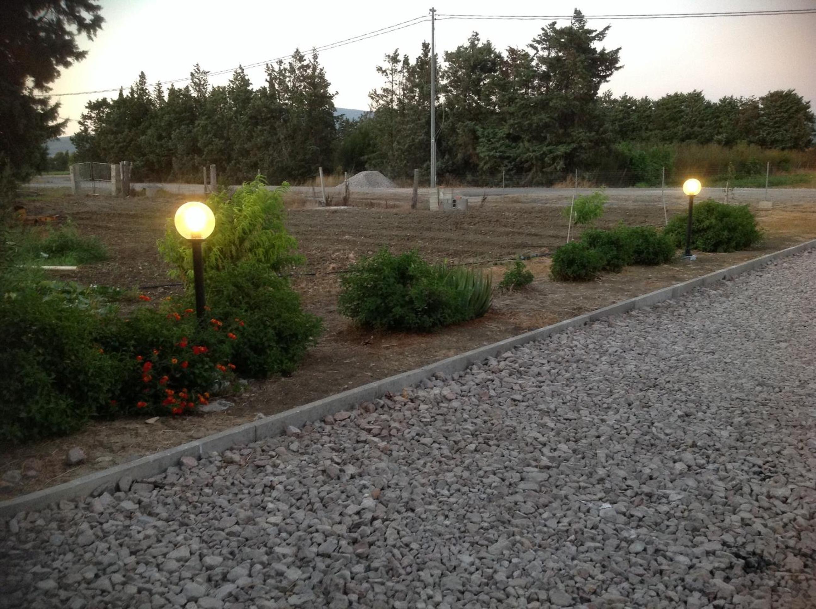 Photo 12