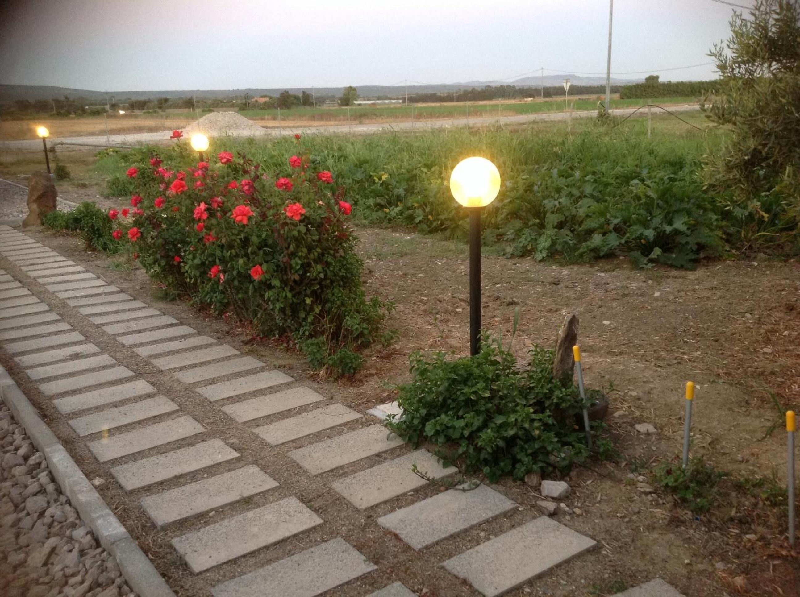 Photo 23