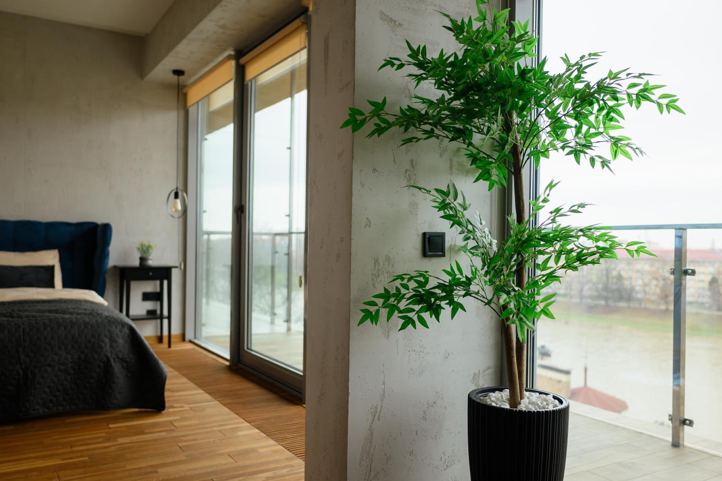 EVURI Apartments VENECIA