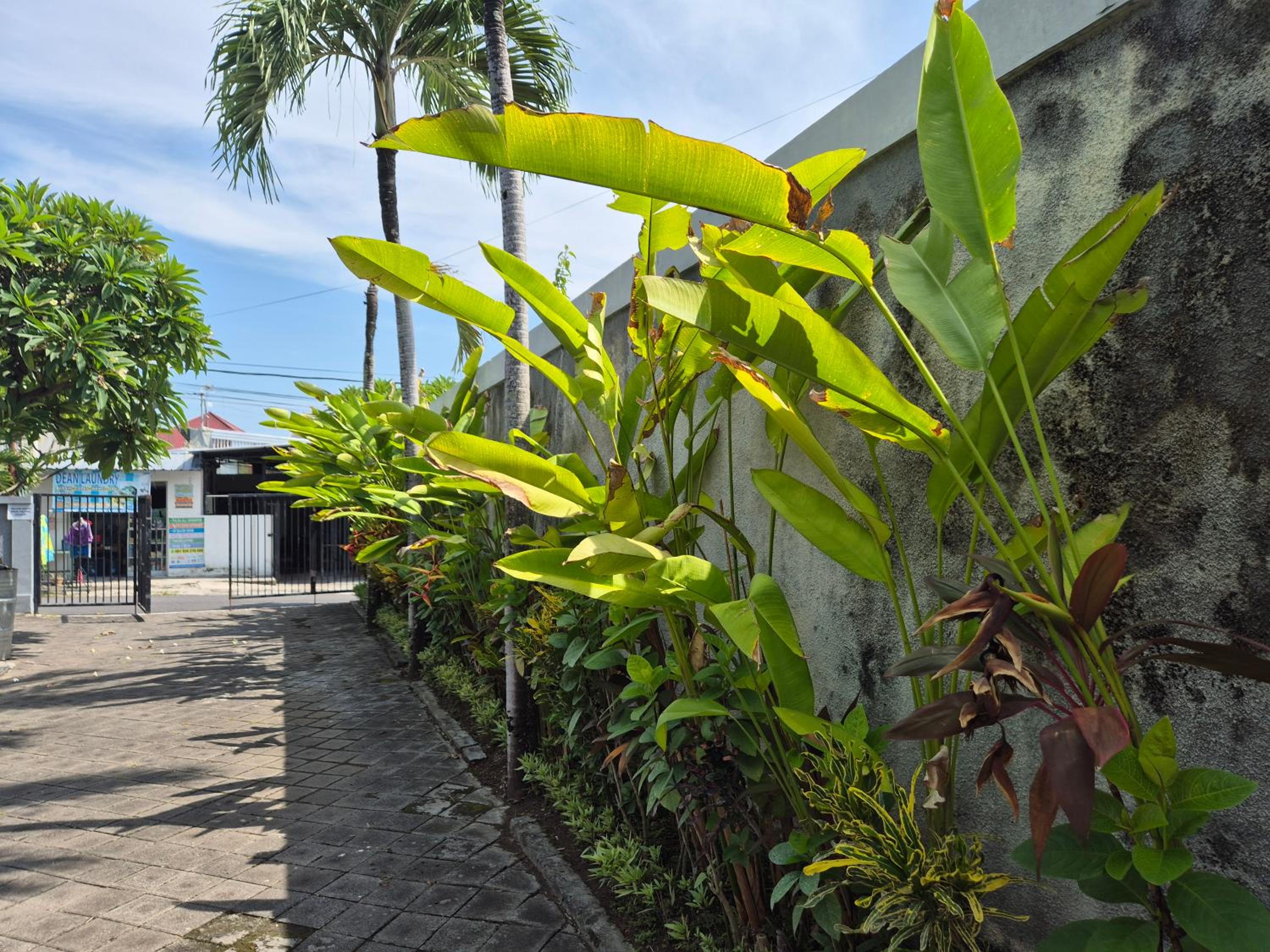 The Bagus view 4