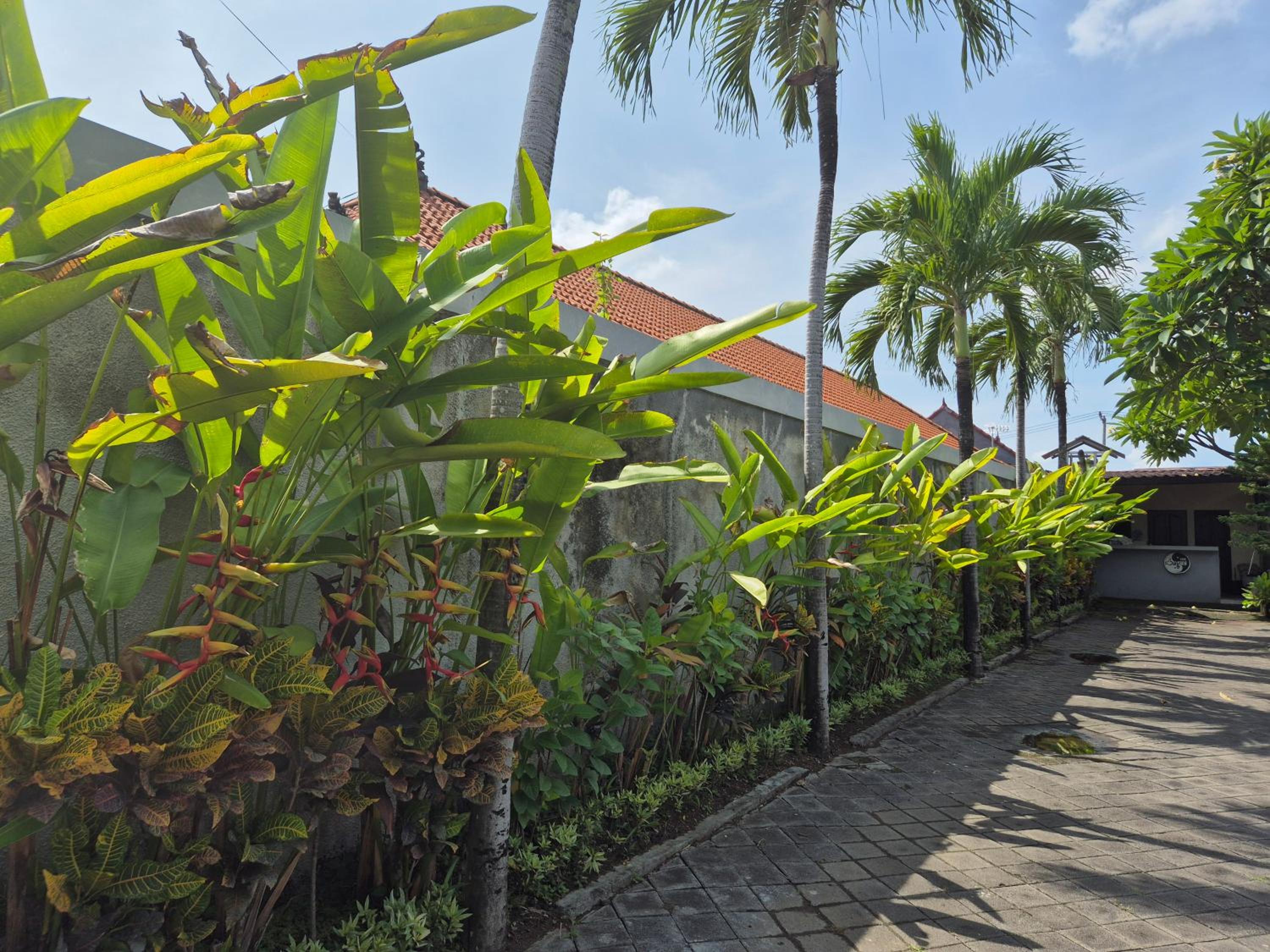 The Bagus view 3