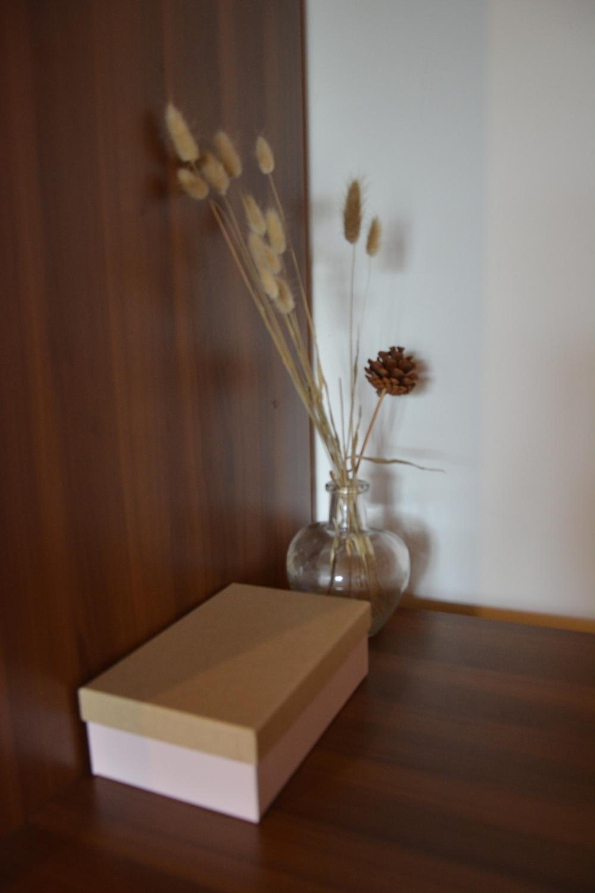 Apartmaji Kobal